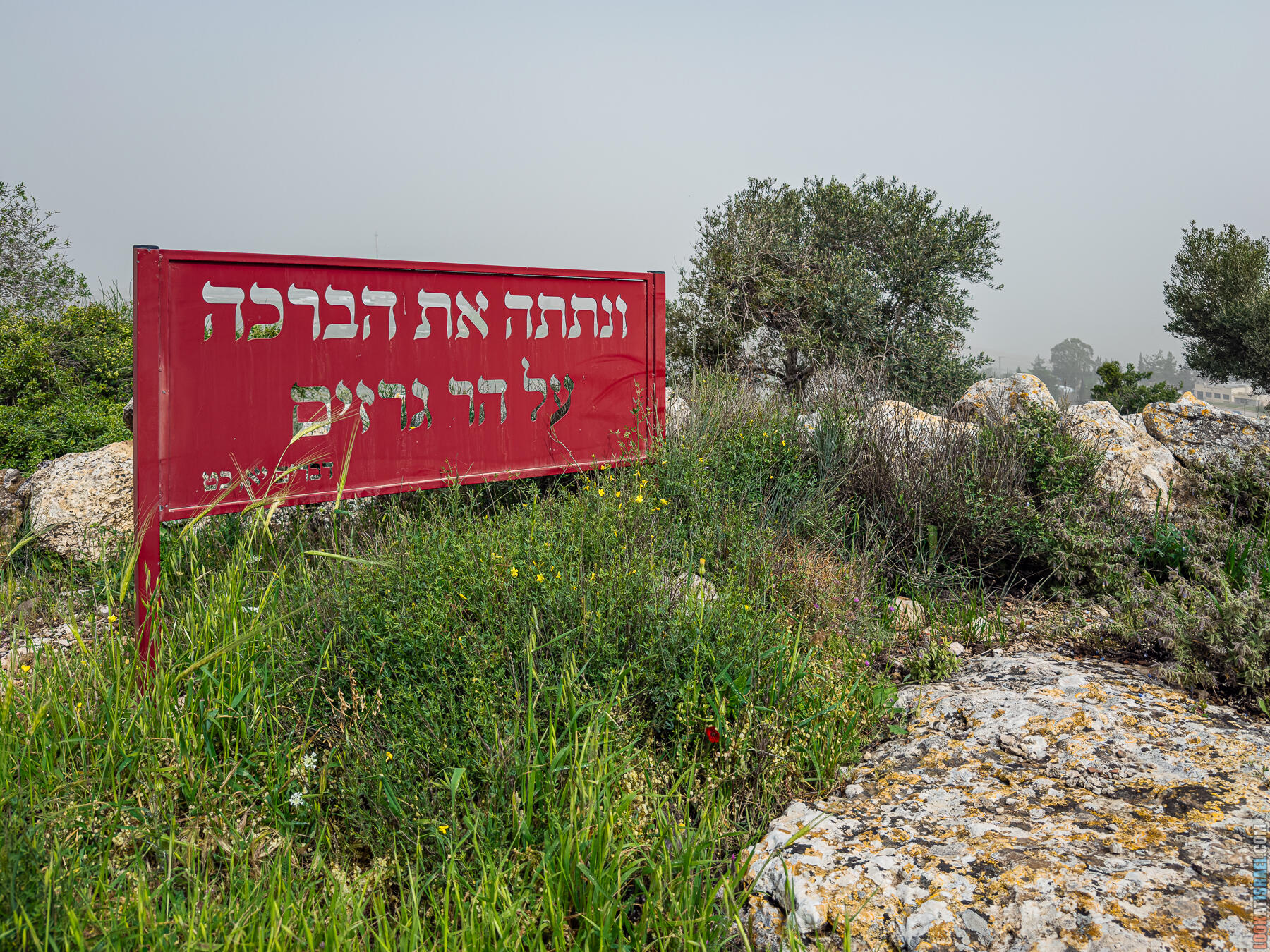 Хребет Гидеона, поселение Итамар, ферма Гиват Олам