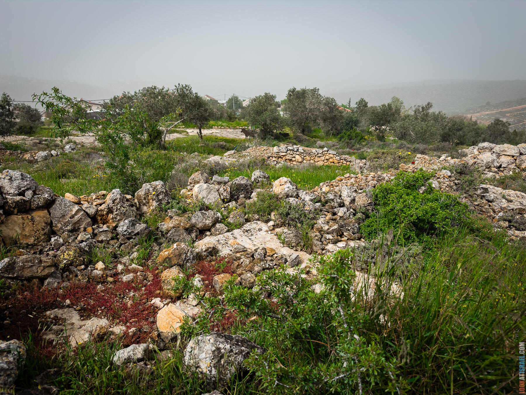 Хребет Гидеона, поселение Итамар, ферма Гиват Олам