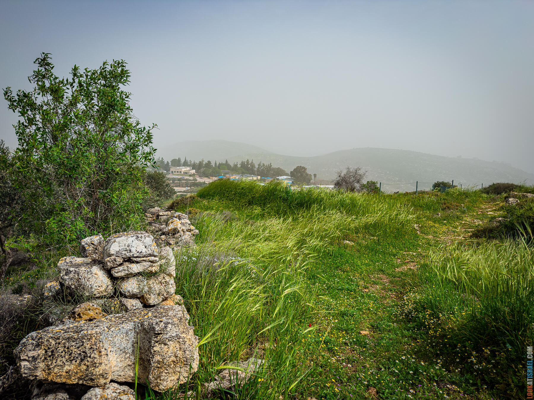 Хребет Гидеона, поселение Итамар, ферма Гиват Олам