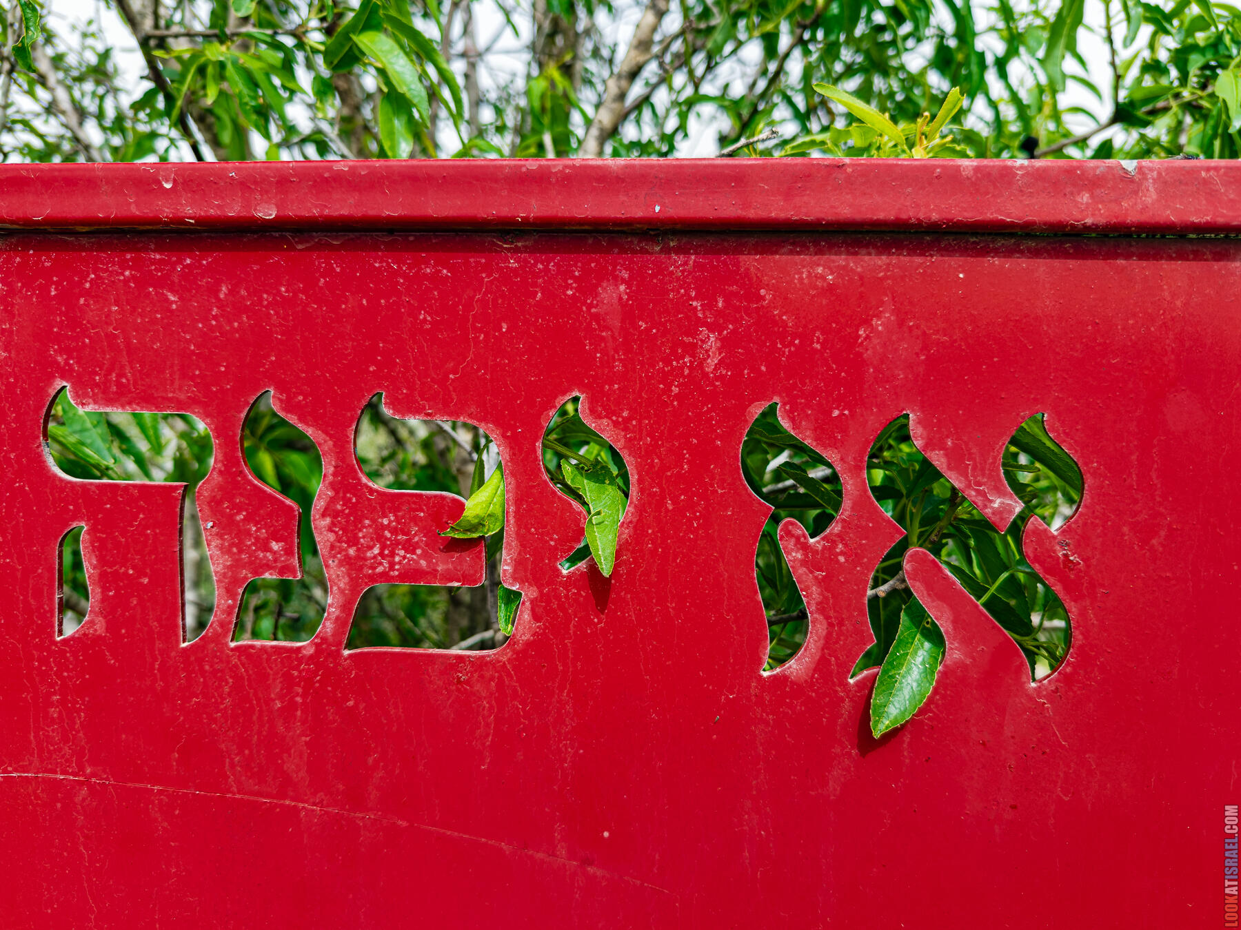 Хребет Гидеона, поселение Итамар, ферма Гиват Олам