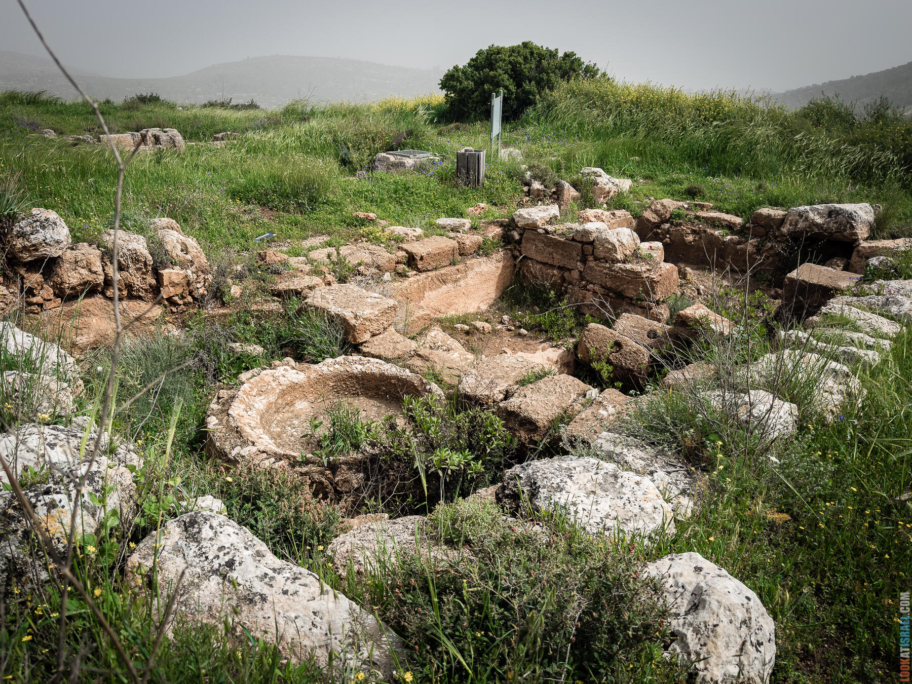 Хребет Гидеона, поселение Итамар, ферма Гиват Олам