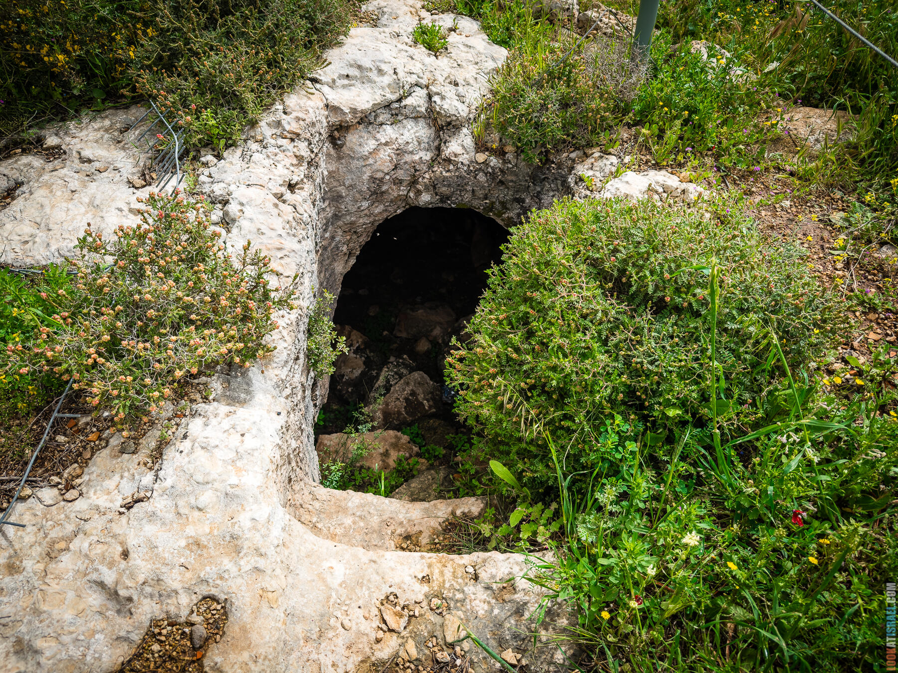 Хребет Гидеона, поселение Итамар, ферма Гиват Олам