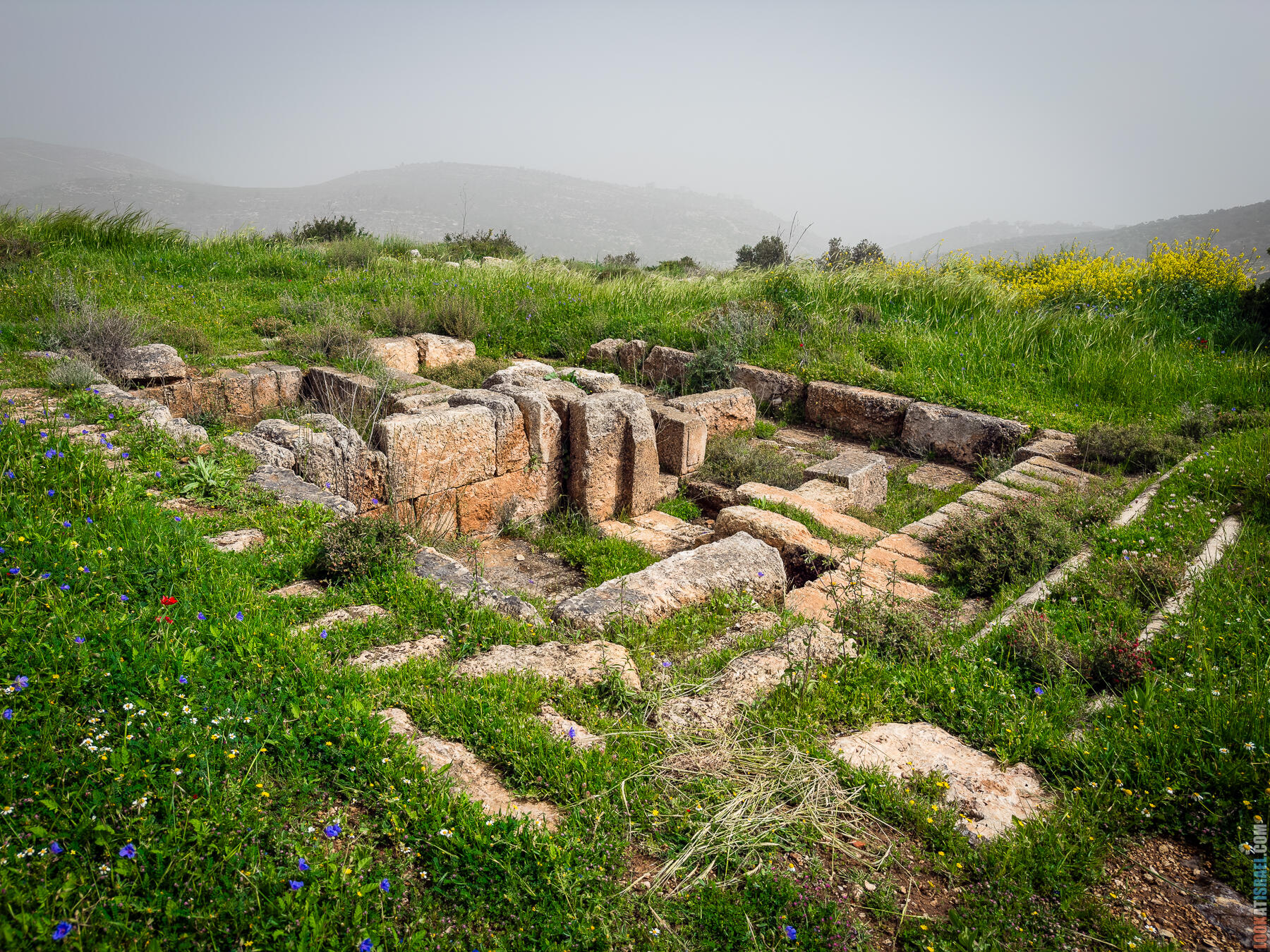 Хребет Гидеона, поселение Итамар, ферма Гиват Олам