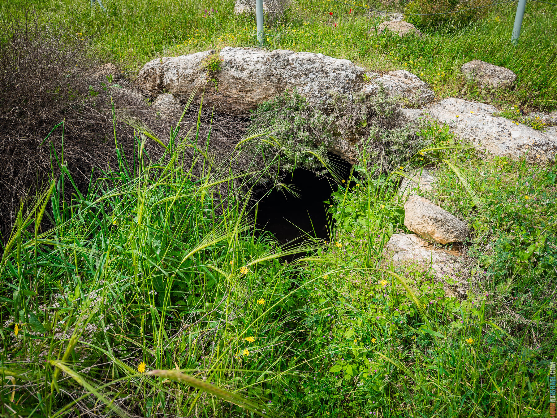 Хребет Гидеона, поселение Итамар, ферма Гиват Олам
