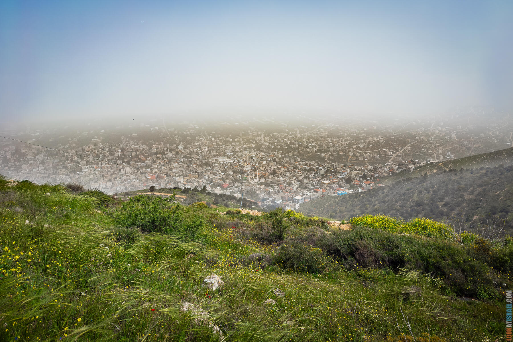 Гидеоновы холмы во все стороны прекрасны Хребет Гидеона, поселение Итамар, ферма Гиват Олам, цветение в Самарии