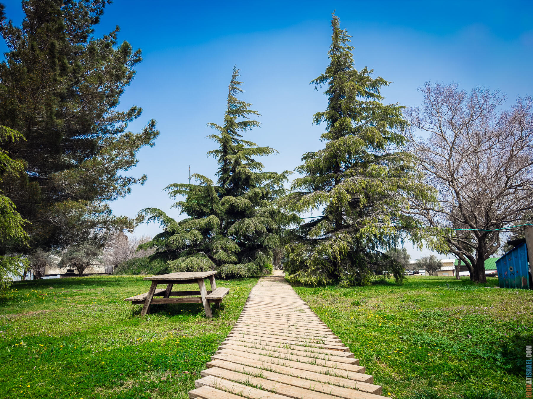Хребет Гидеона, поселение Итамар, ферма Гиват Олам