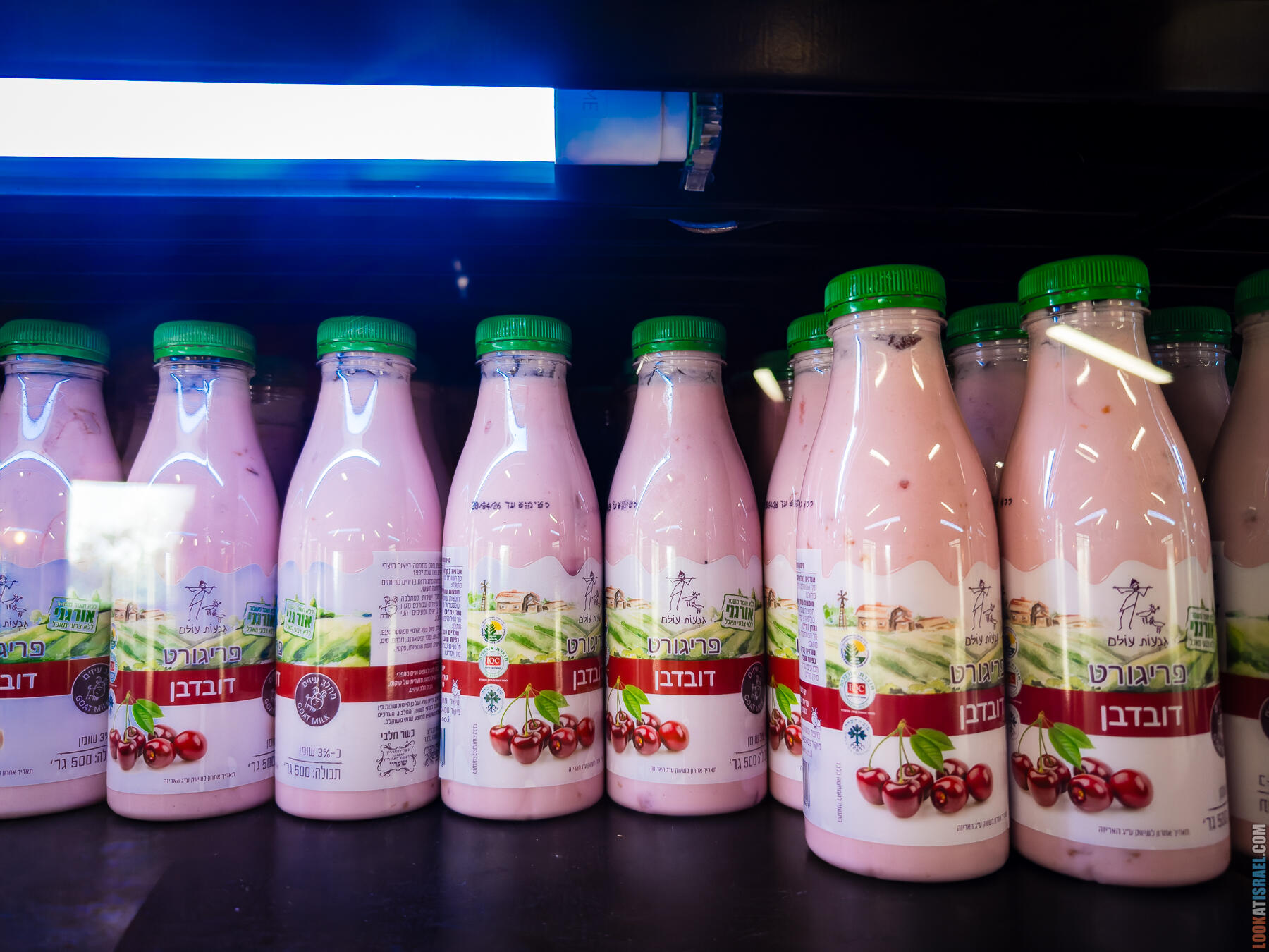 Хребет Гидеона, поселение Итамар, ферма Гиват Олам