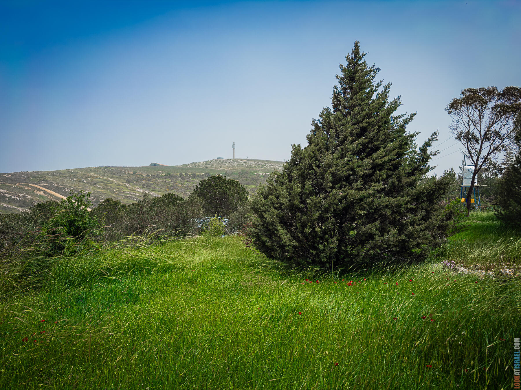 Хребет Гидеона, поселение Итамар, ферма Гиват Олам