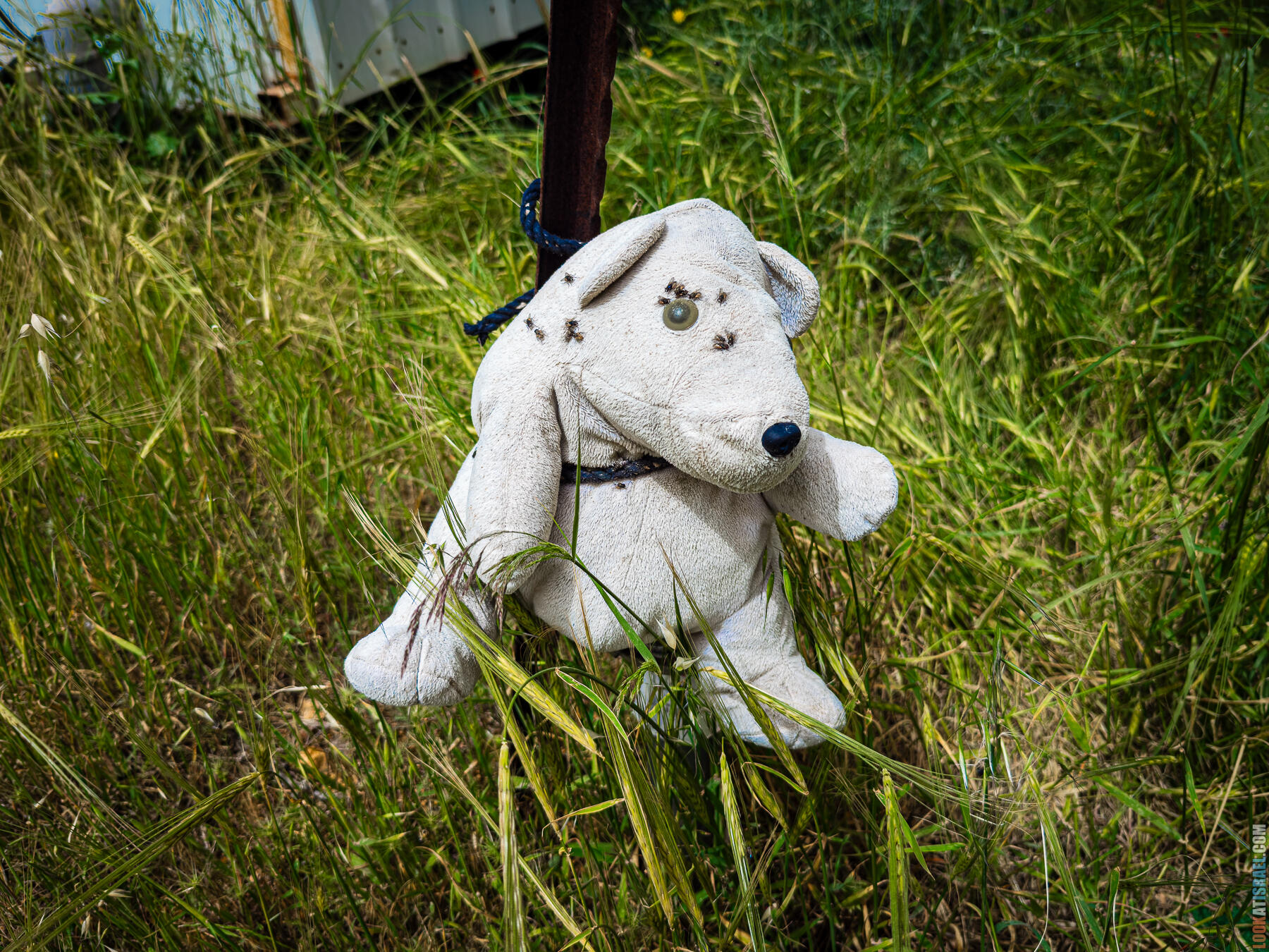 Хребет Гидеона, поселение Итамар, ферма Гиват Олам