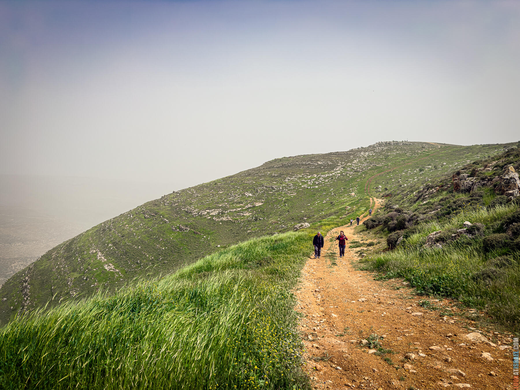 Хребет Гидеона, поселение Итамар, ферма Гиват Олам