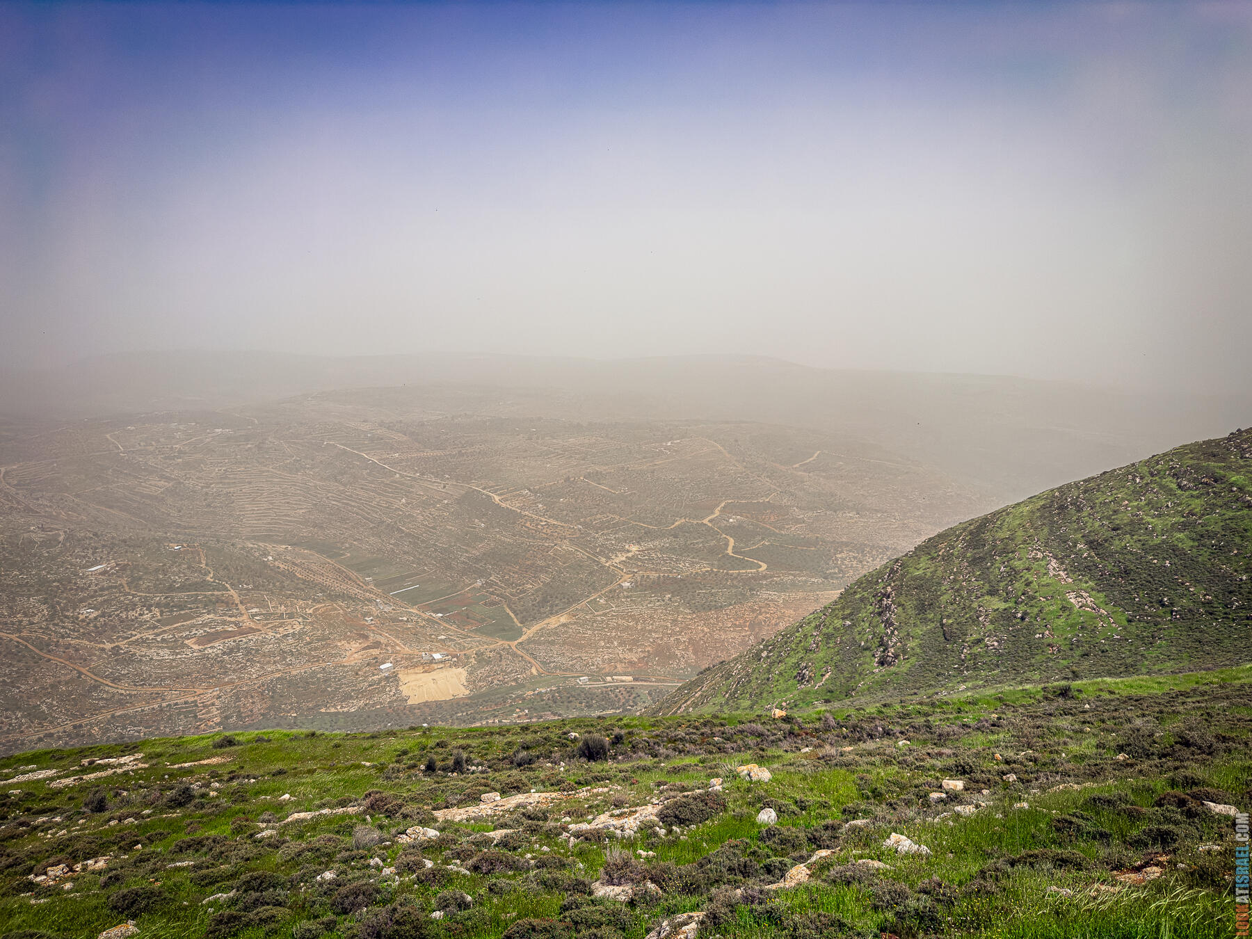 Хребет Гидеона, поселение Итамар, ферма Гиват Олам, цветение в Самарии