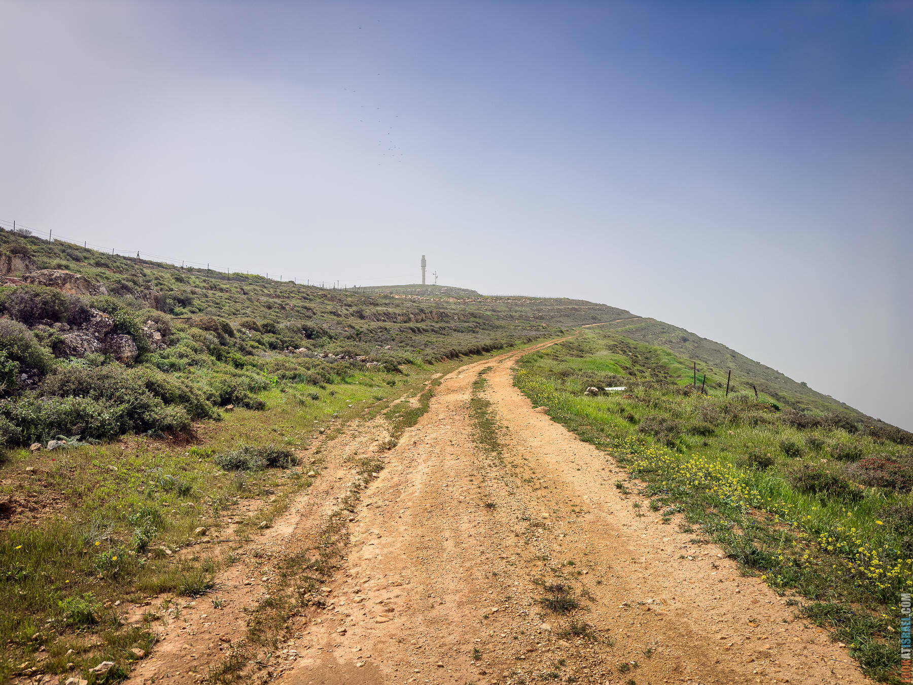 Хребет Гидеона, поселение Итамар, ферма Гиват Олам