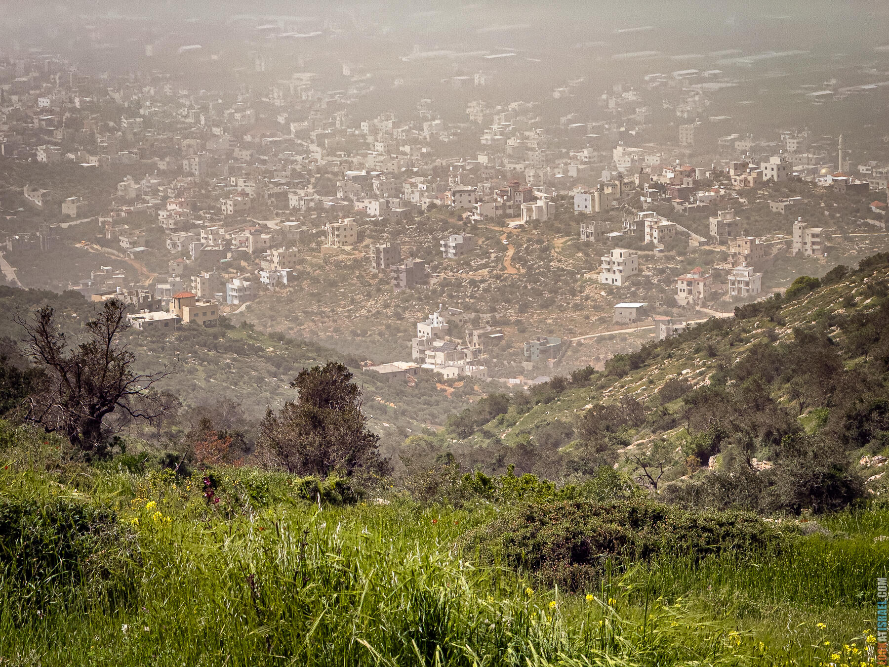 Хребет Гидеона, поселение Итамар, ферма Гиват Олам