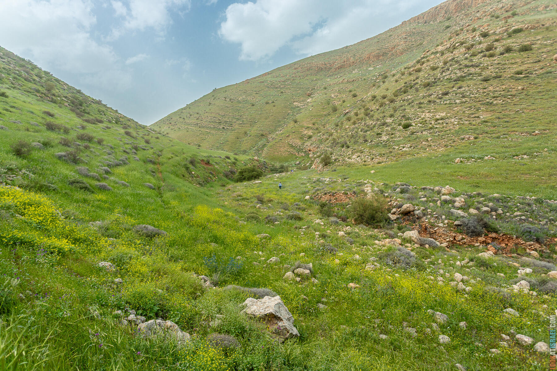 Поход по красному ущелью Аль Ахмар в Самарии | Hiking in Wadi Al Ahmar in Samaria | ואדי אל אחמר בשומרון