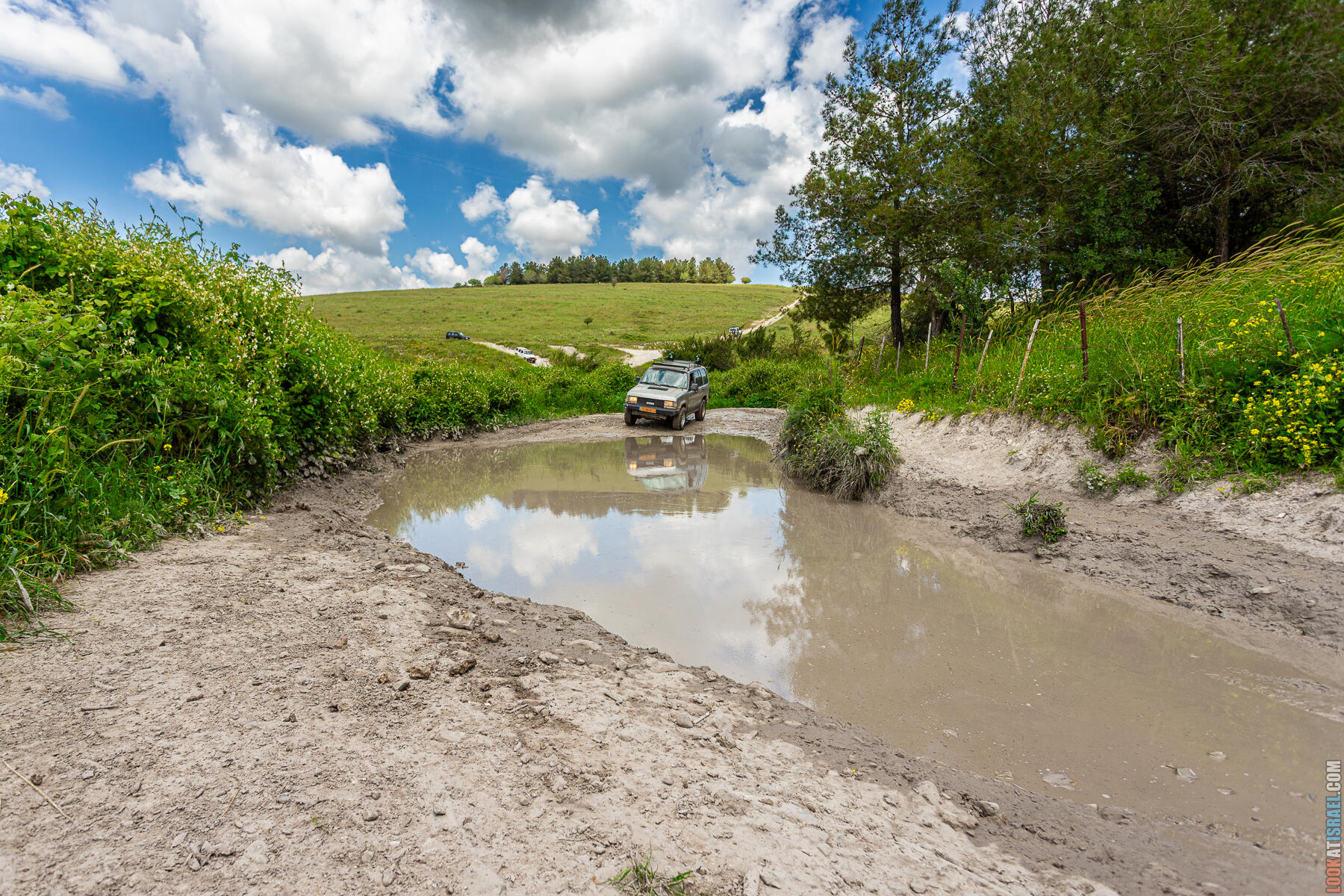 Зеленые просторы Рамот Менаше