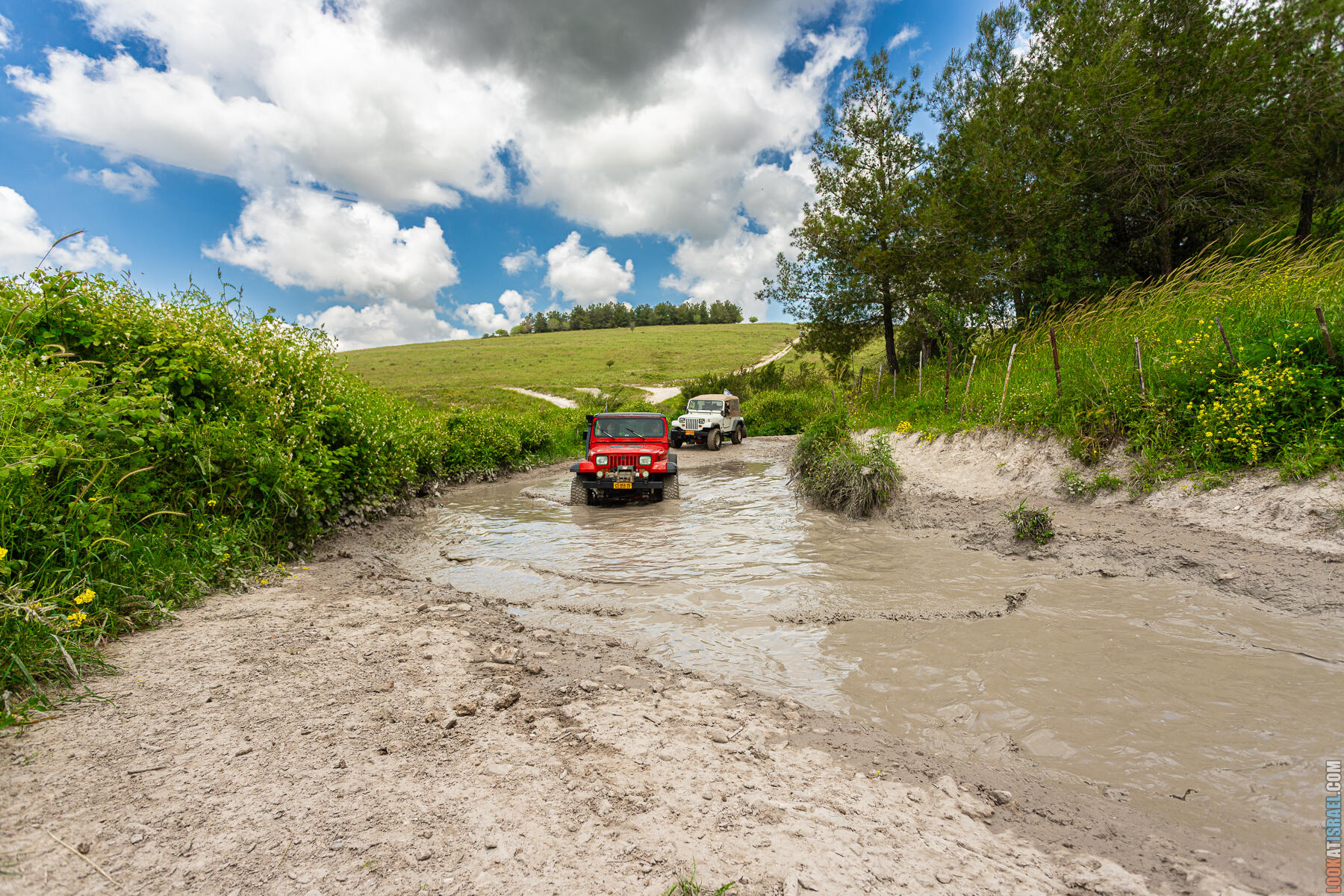 Зеленые просторы Рамот Менаше