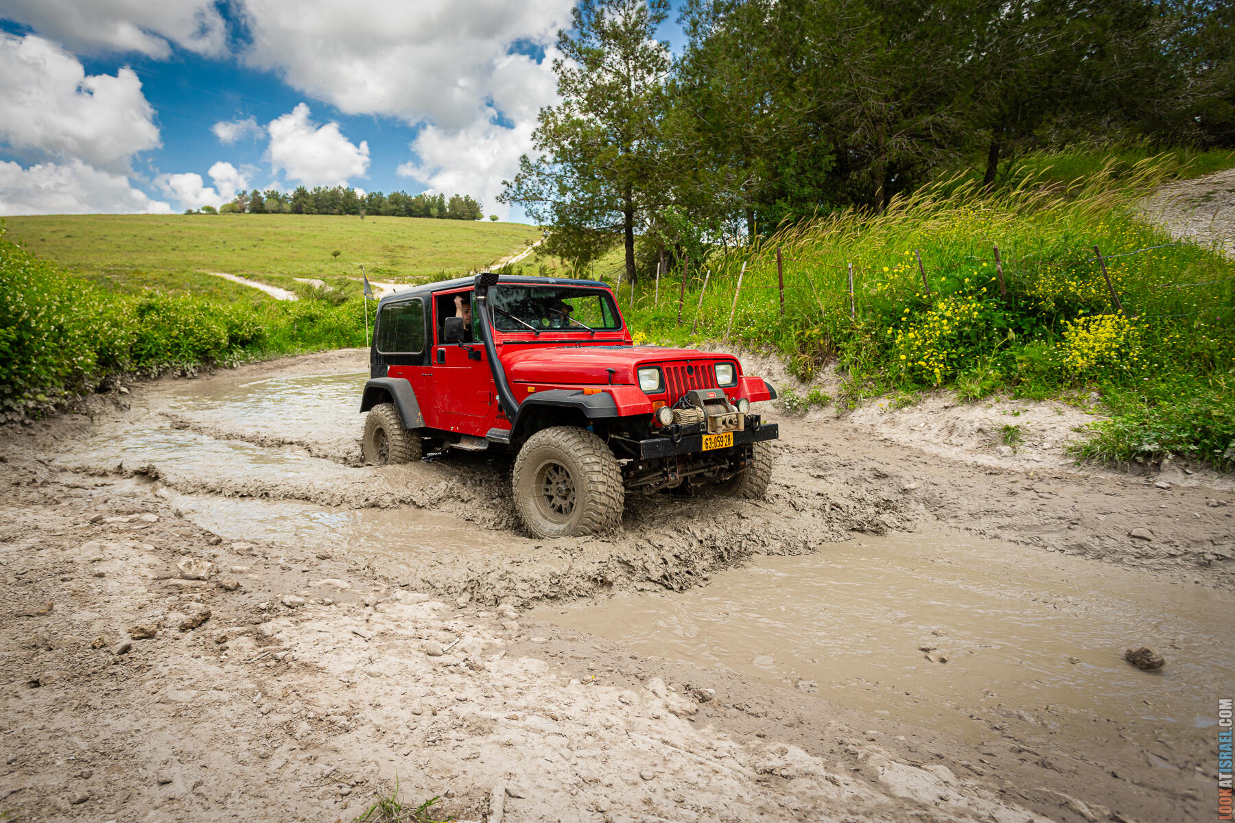 Зеленые просторы Рамот Менаше