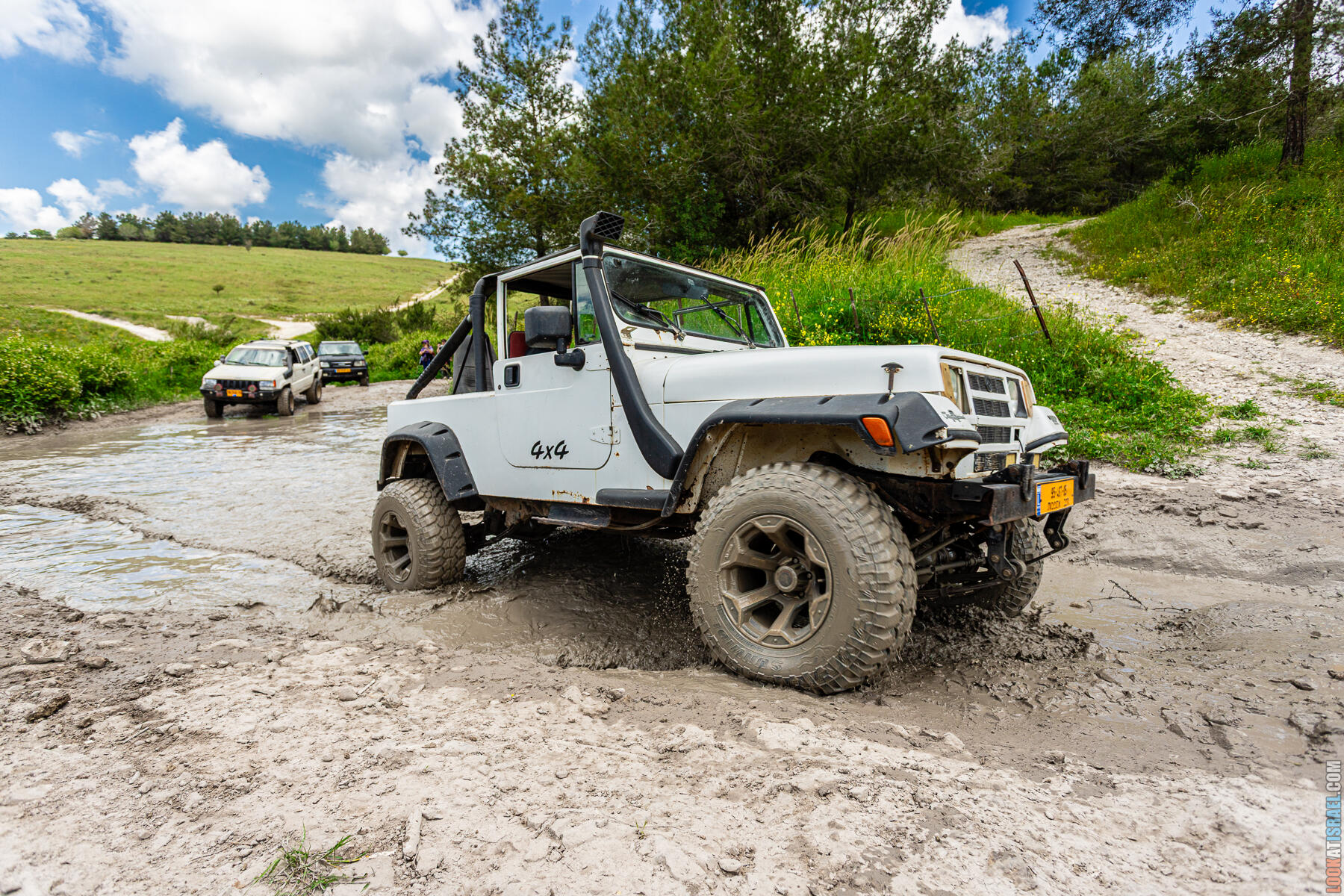 Зеленые просторы Рамот Менаше