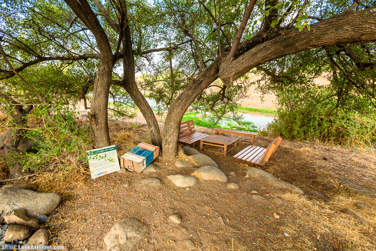 Израильская тропа, участок 1 Дан - Кфар Гилади| Israel National Trail | שביל ישראל, קטע 1 דן - כפר גלעדי | shvil.LookAtIsrael.com - Фото путешествия по Израилю
