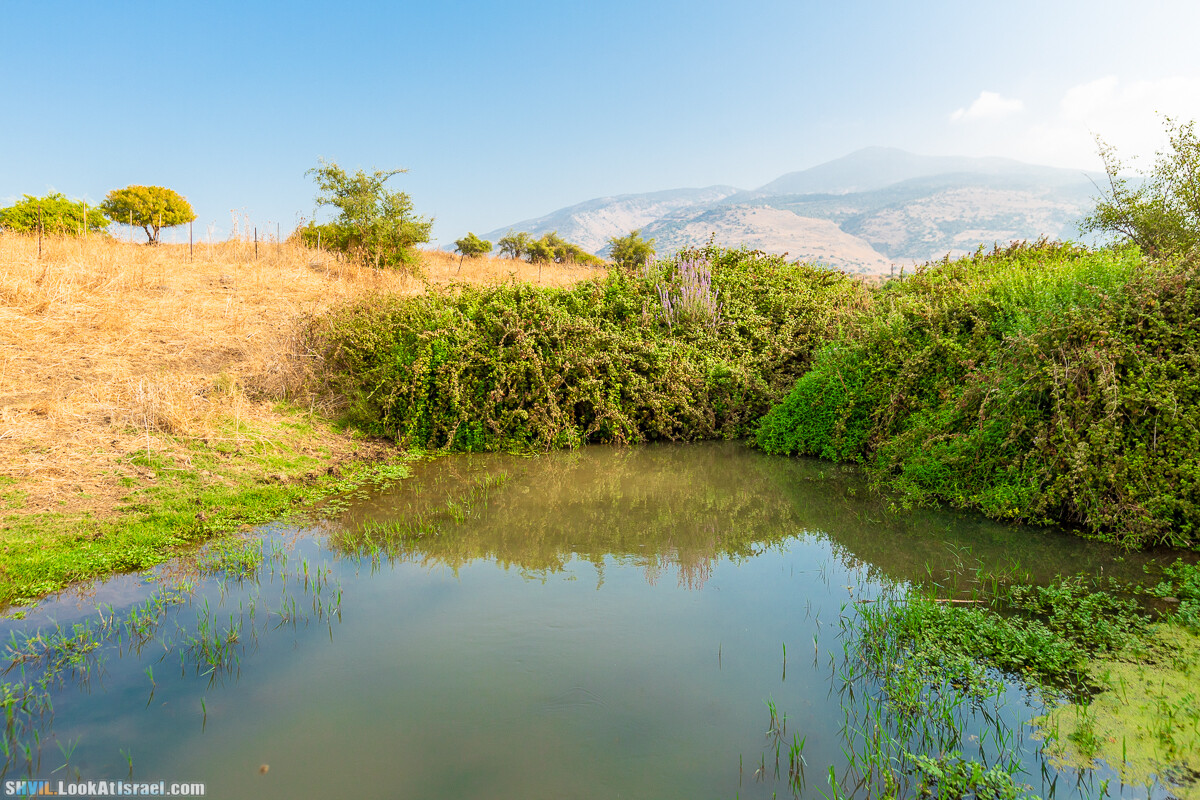 Израильская тропа, участок 1 Дан - Кфар Гилади| Israel National Trail | שביל ישראל, קטע 1 דן - כפר גלעדי | shvil.LookAtIsrael.com - Фото путешествия по Израилю