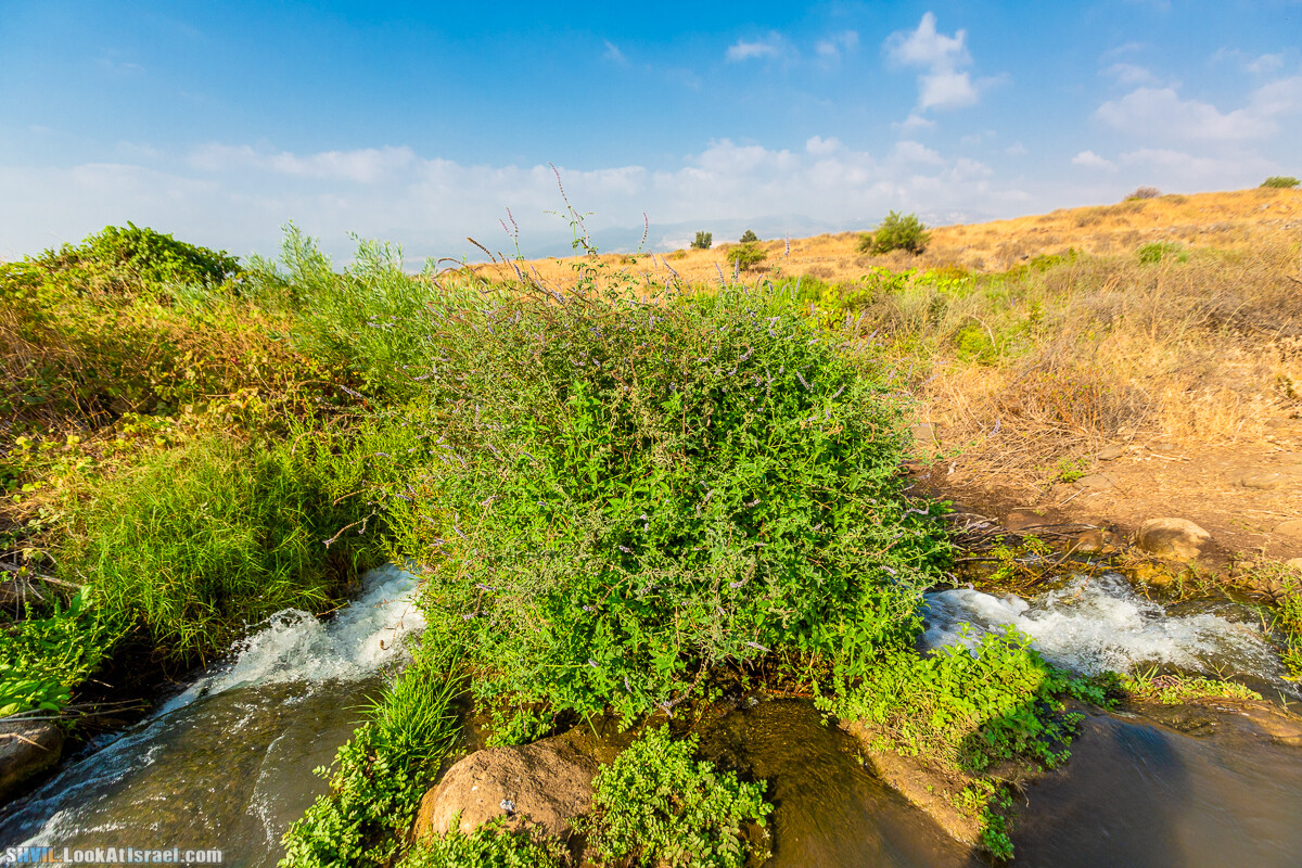 Израильская тропа, участок 1 Дан - Кфар Гилади| Israel National Trail | שביל ישראל, קטע 1 דן - כפר גלעדי | shvil.LookAtIsrael.com - Фото путешествия по Израилю