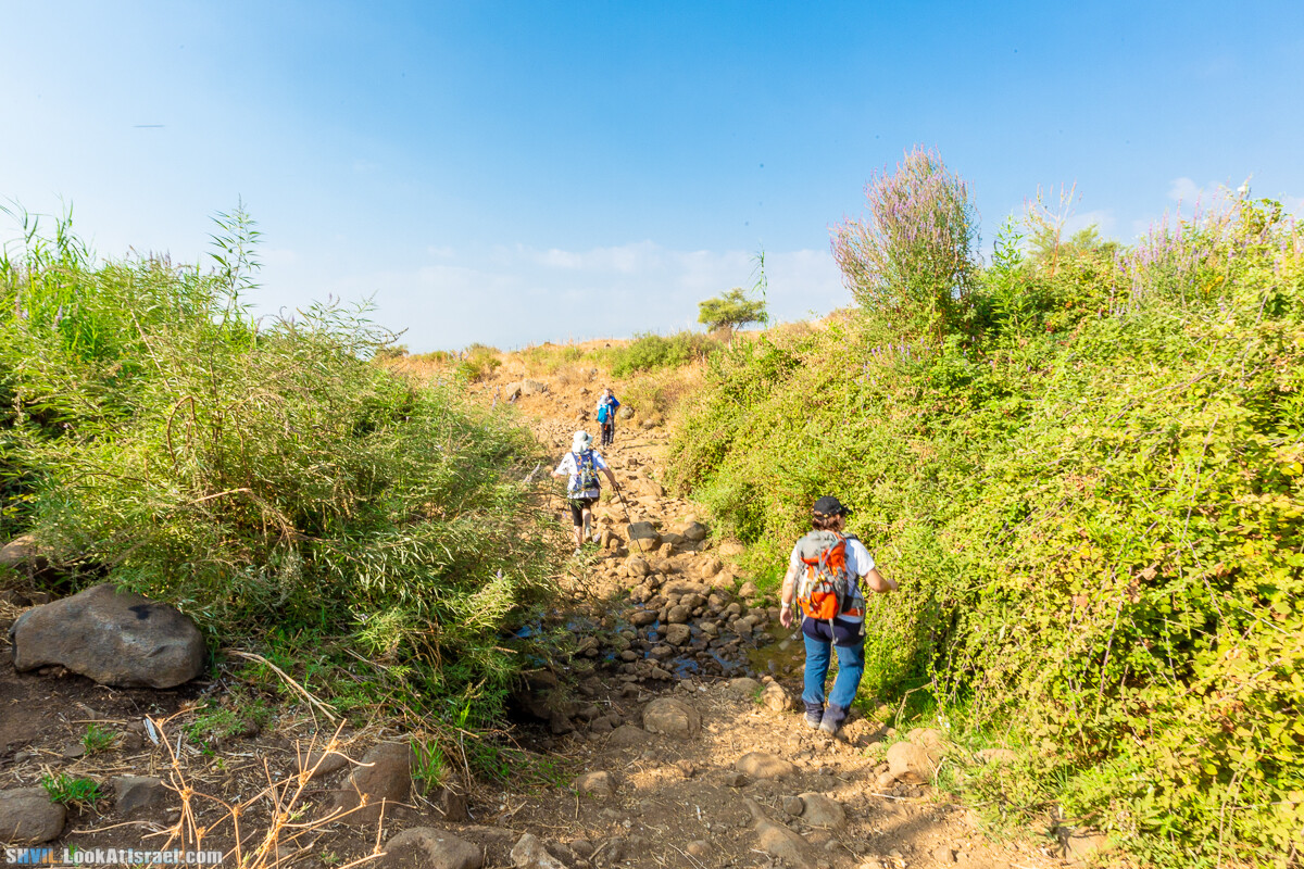Израильская тропа, участок 1 Дан - Кфар Гилади| Israel National Trail | שביל ישראל, קטע 1 דן - כפר גלעדי | shvil.LookAtIsrael.com - Фото путешествия по Израилю