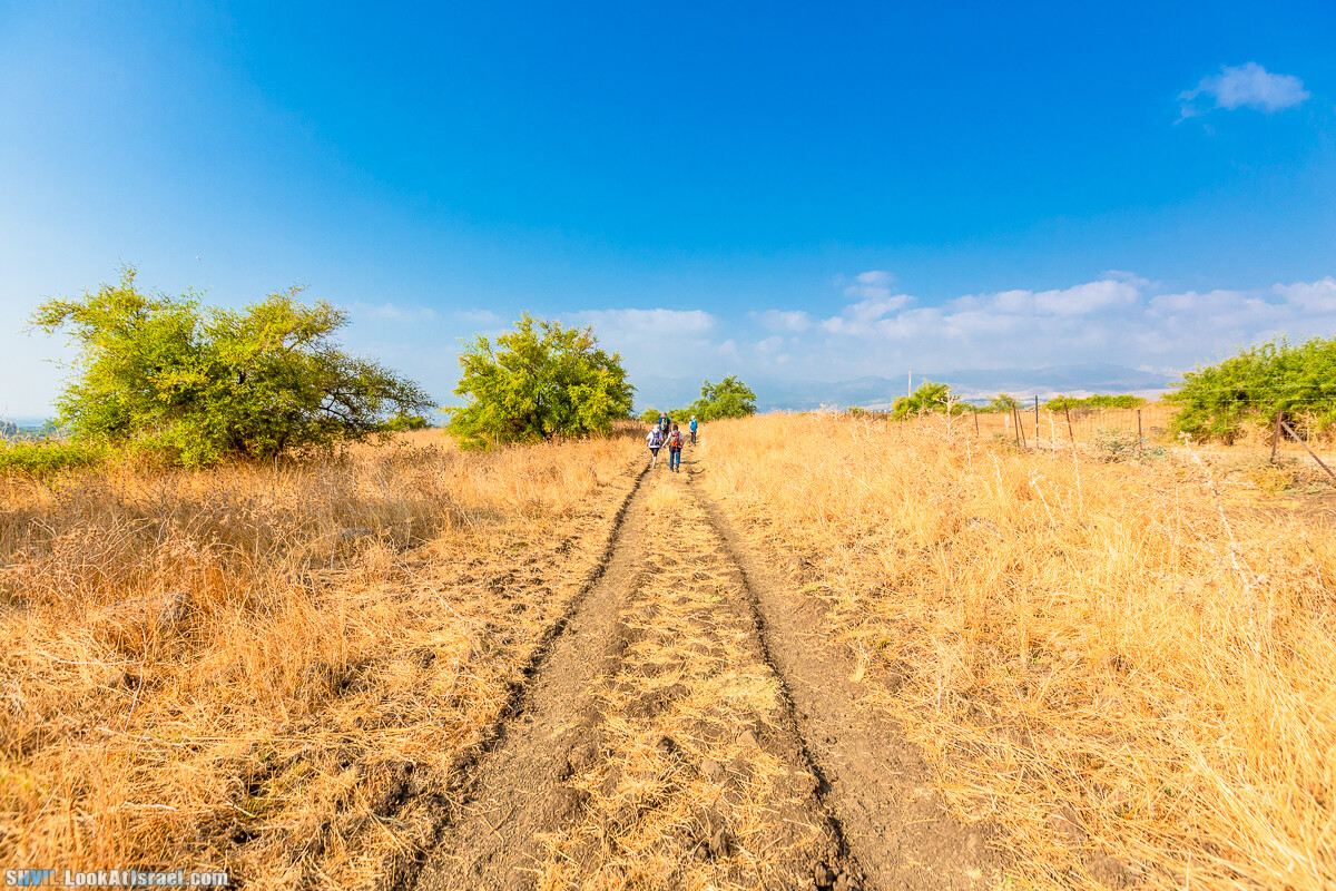 Израильская тропа, участок 1 Дан - Кфар Гилади| Israel National Trail | שביל ישראל, קטע 1 דן - כפר גלעדי | shvil.LookAtIsrael.com - Фото путешествия по Израилю