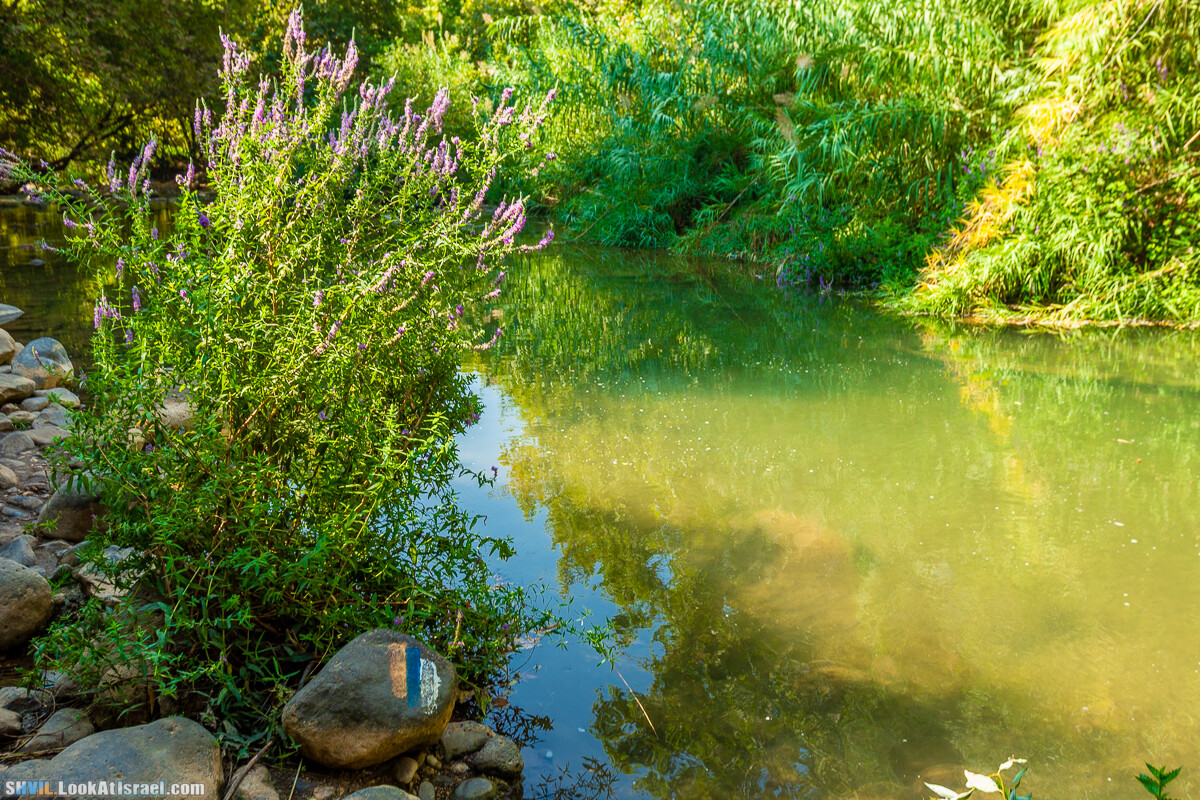 Израильская тропа, участок 1 Дан - Кфар Гилади| Israel National Trail | שביל ישראל, קטע 1 דן - כפר גלעדי | shvil.LookAtIsrael.com - Фото путешествия по Израилю