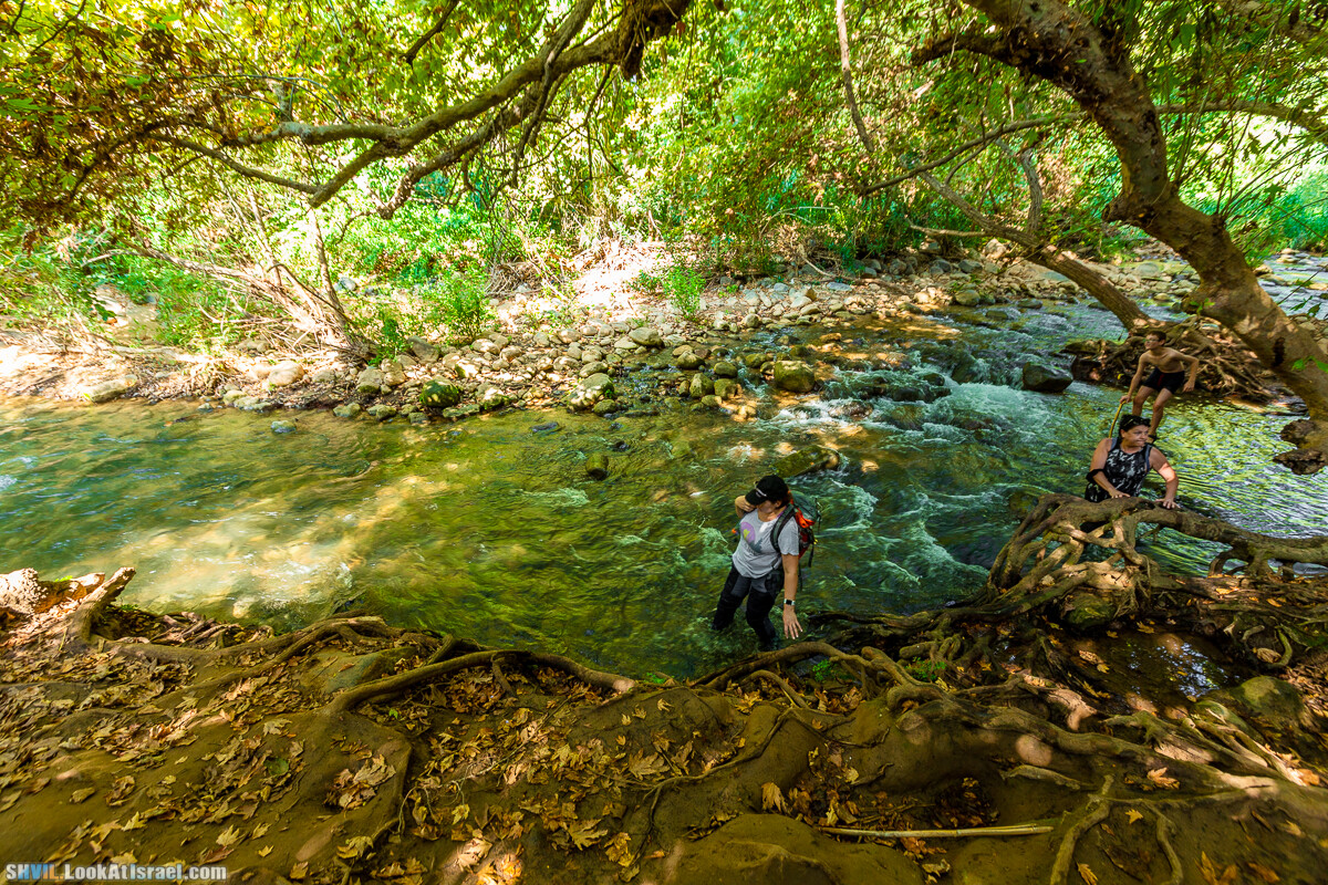 Израильская тропа, участок 1 Дан - Кфар Гилади| Israel National Trail | שביל ישראל, קטע 1 דן - כפר גלעדי | shvil.LookAtIsrael.com - Фото путешествия по Израилю