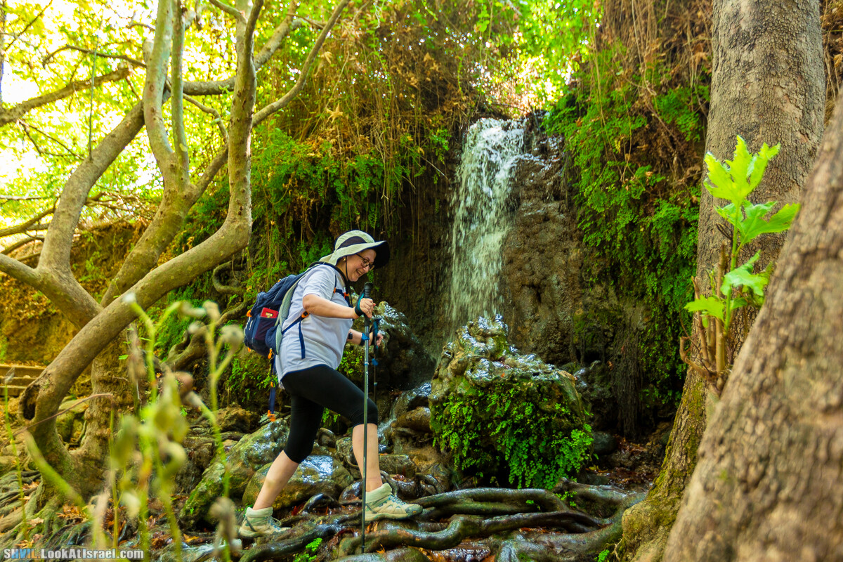 Израильская тропа, участок 1 Дан - Кфар Гилади| Israel National Trail | שביל ישראל, קטע 1 דן - כפר גלעדי | shvil.LookAtIsrael.com - Фото путешествия по Израилю