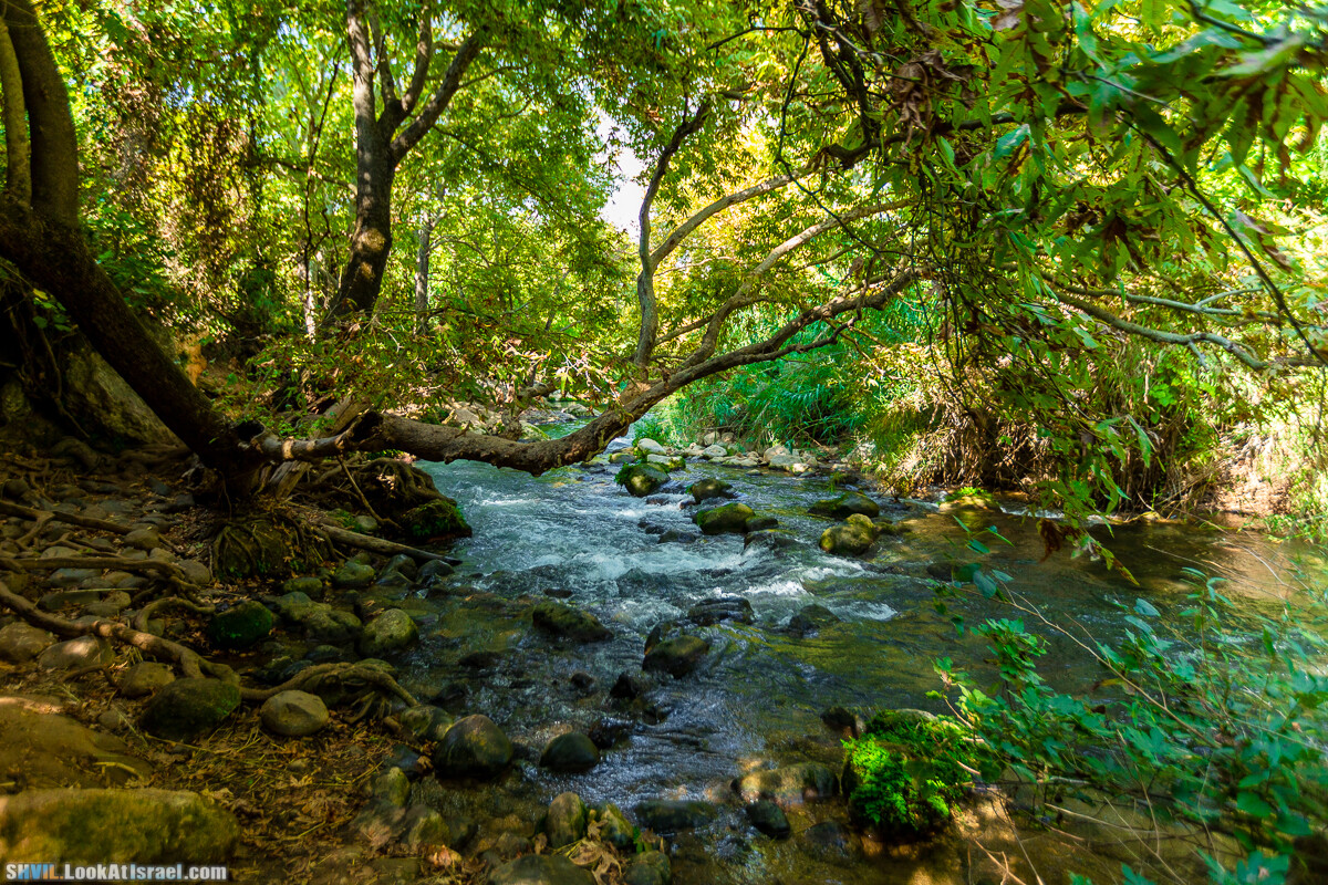 Израильская тропа, участок 1 Дан - Кфар Гилади| Israel National Trail | שביל ישראל, קטע 1 דן - כפר גלעדי | shvil.LookAtIsrael.com - Фото путешествия по Израилю