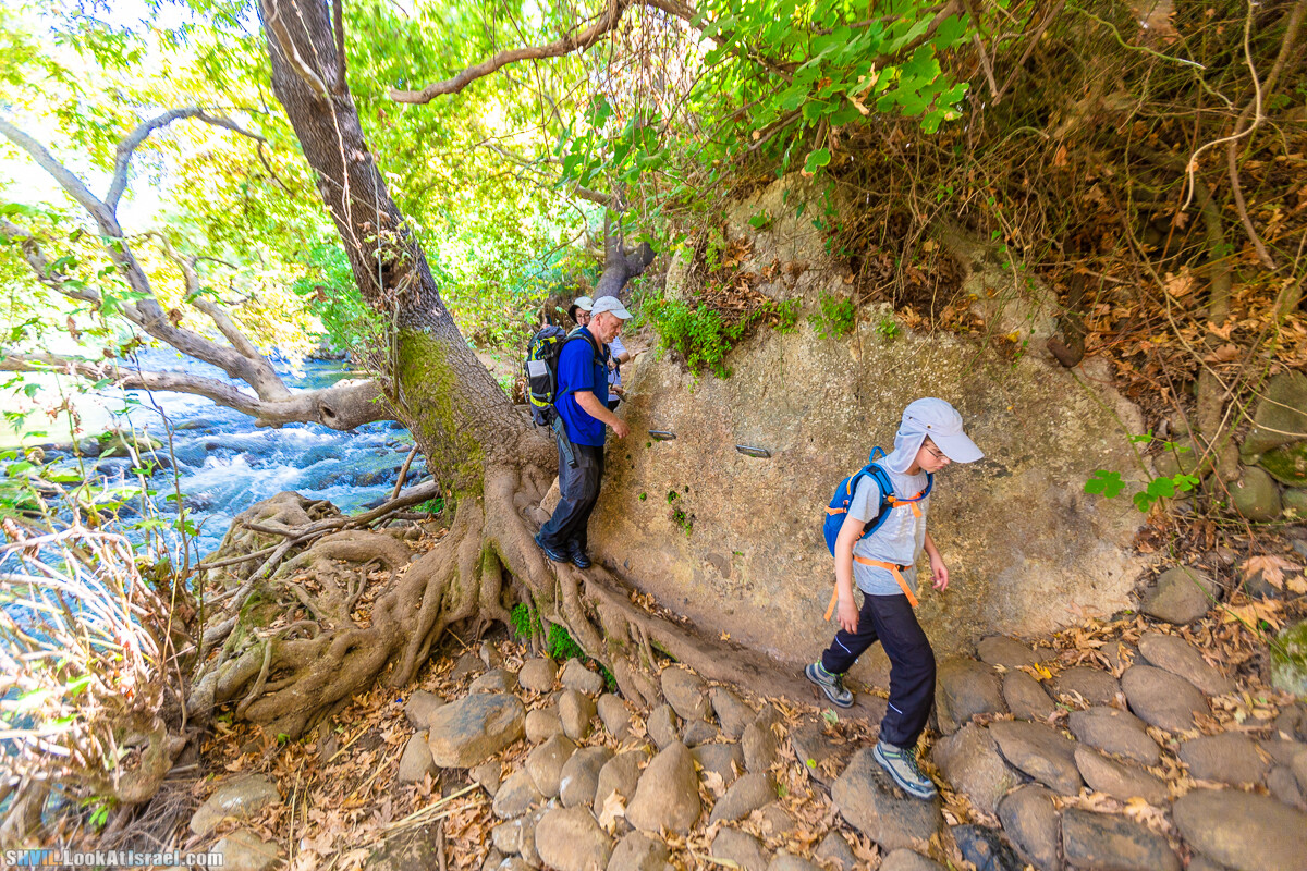Израильская тропа, участок 1 Дан - Кфар Гилади| Israel National Trail | שביל ישראל, קטע 1 דן - כפר גלעדי | shvil.LookAtIsrael.com - Фото путешествия по Израилю