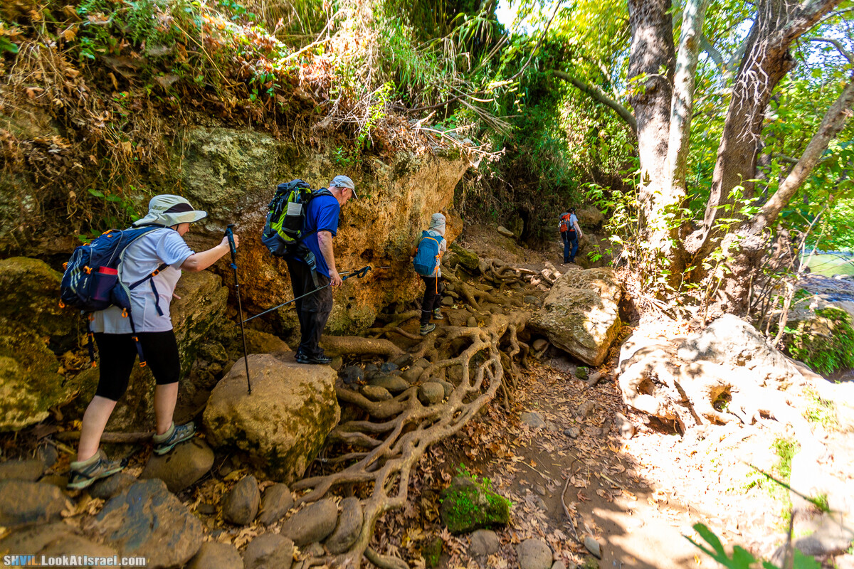 Израильская тропа, участок 1 Дан - Кфар Гилади| Israel National Trail | שביל ישראל, קטע 1 דן - כפר גלעדי | shvil.LookAtIsrael.com - Фото путешествия по Израилю