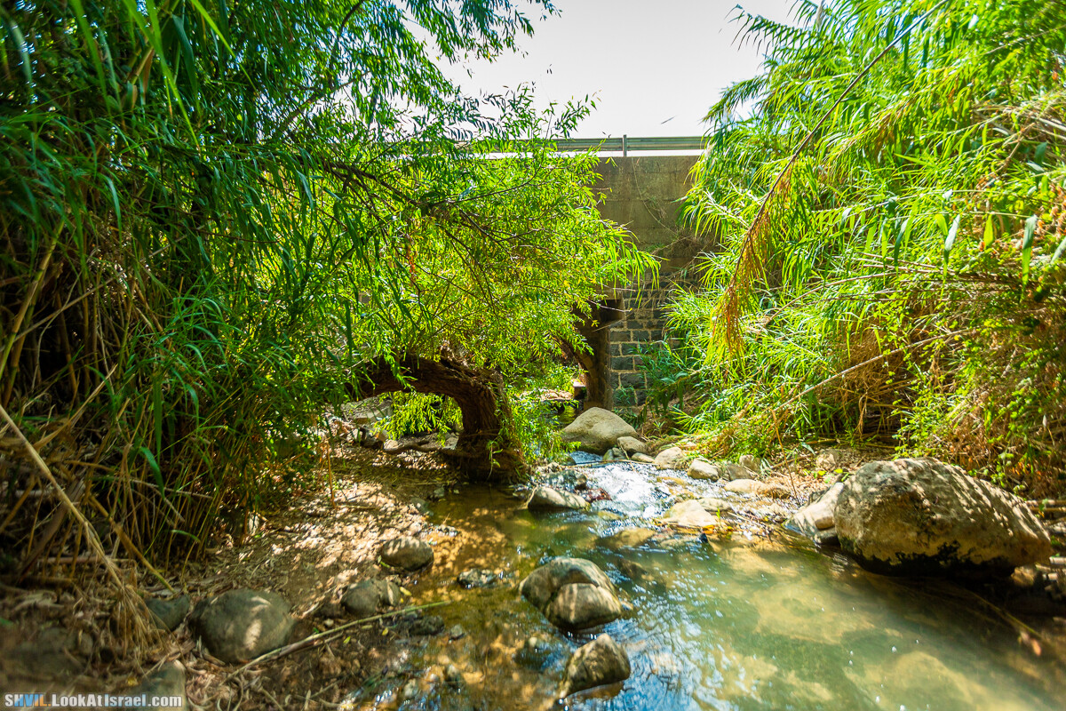 Израильская тропа, участок 1 Дан - Кфар Гилади| Israel National Trail | שביל ישראל, קטע 1 דן - כפר גלעדי | shvil.LookAtIsrael.com - Фото путешествия по Израилю
