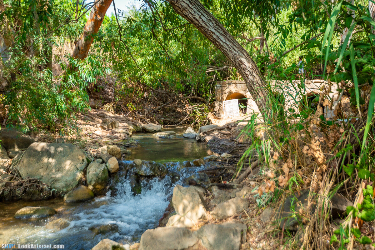 Израильская тропа, участок 1 Дан - Кфар Гилади| Israel National Trail | שביל ישראל, קטע 1 דן - כפר גלעדי | shvil.LookAtIsrael.com - Фото путешествия по Израилю