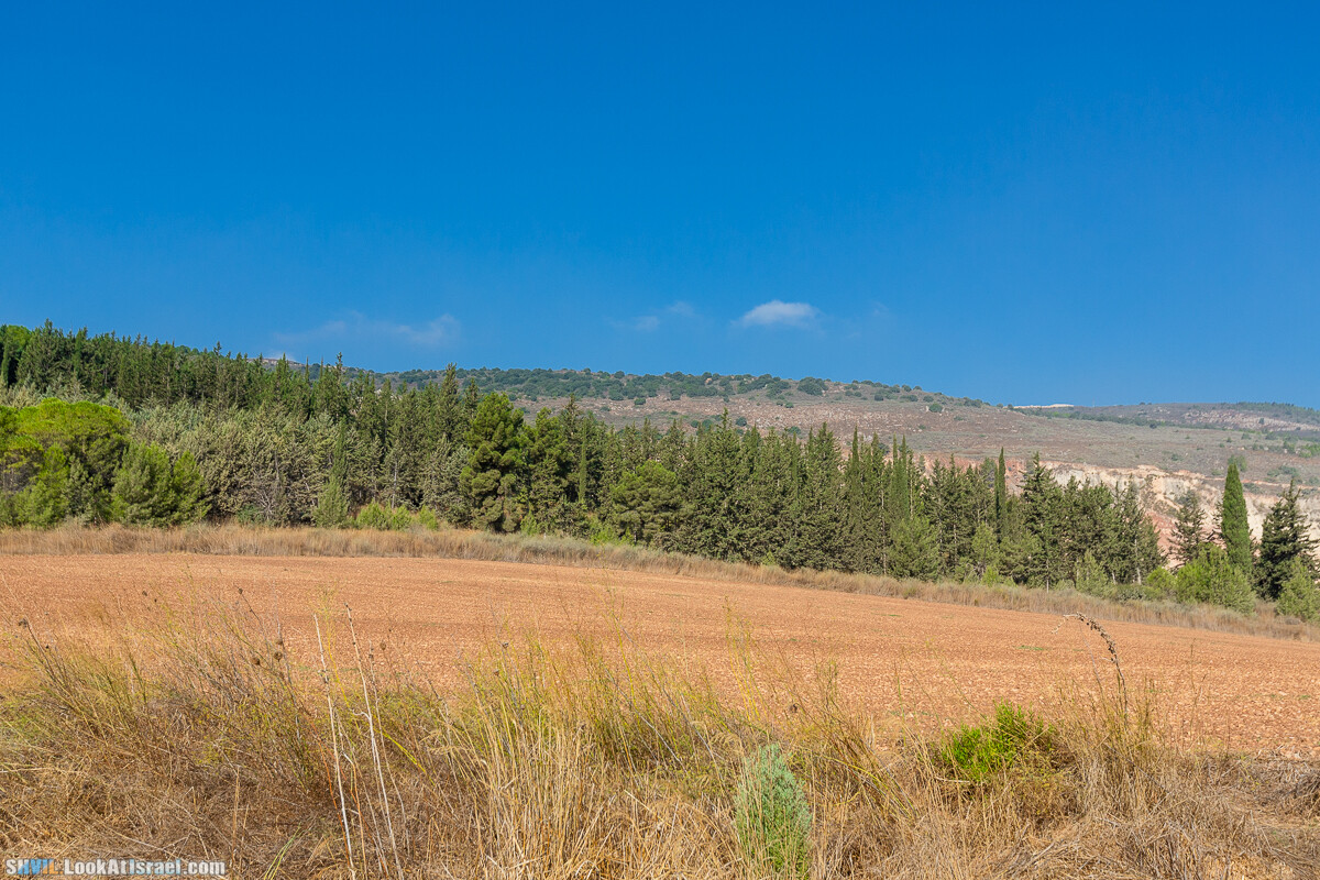 Израильская тропа, участок 2-1 Кфар Гилади - Накикей Ифтах| Israel National Trail | שביל ישראל, קטע 2-1 כפר גלעדי - נקיקי יפתח | shvil.LookAtIsrael.com - Фото путешествия по Израилю