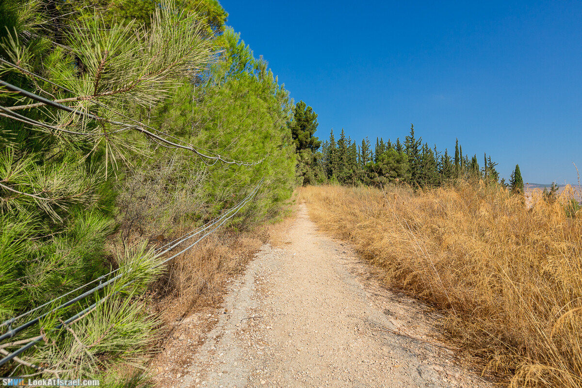 Израильская тропа, участок 2-1 Кфар Гилади - Накикей Ифтах| Israel National Trail | שביל ישראל, קטע 2-1 כפר גלעדי - נקיקי יפתח | shvil.LookAtIsrael.com - Фото путешествия по Израилю