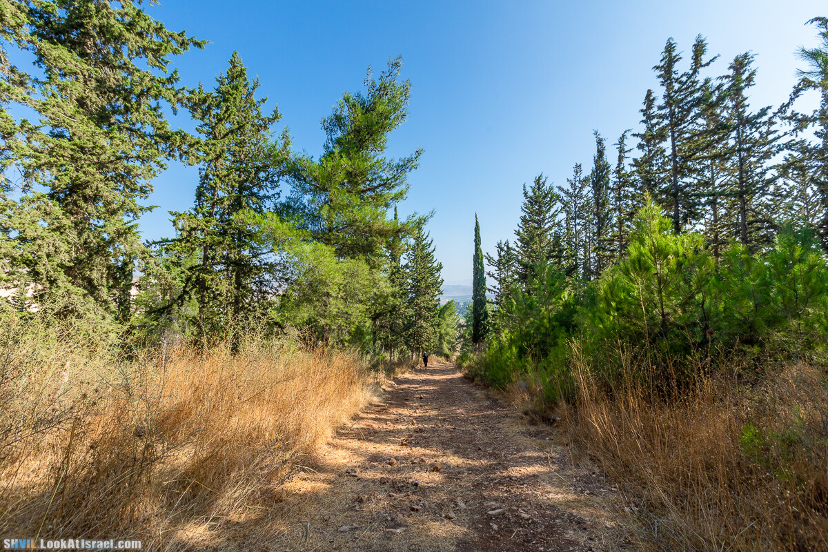 Израильская тропа, участок 2-1 Кфар Гилади - Накикей Ифтах| Israel National Trail | שביל ישראל, קטע 2-1 כפר גלעדי - נקיקי יפתח | shvil.LookAtIsrael.com - Фото путешествия по Израилю