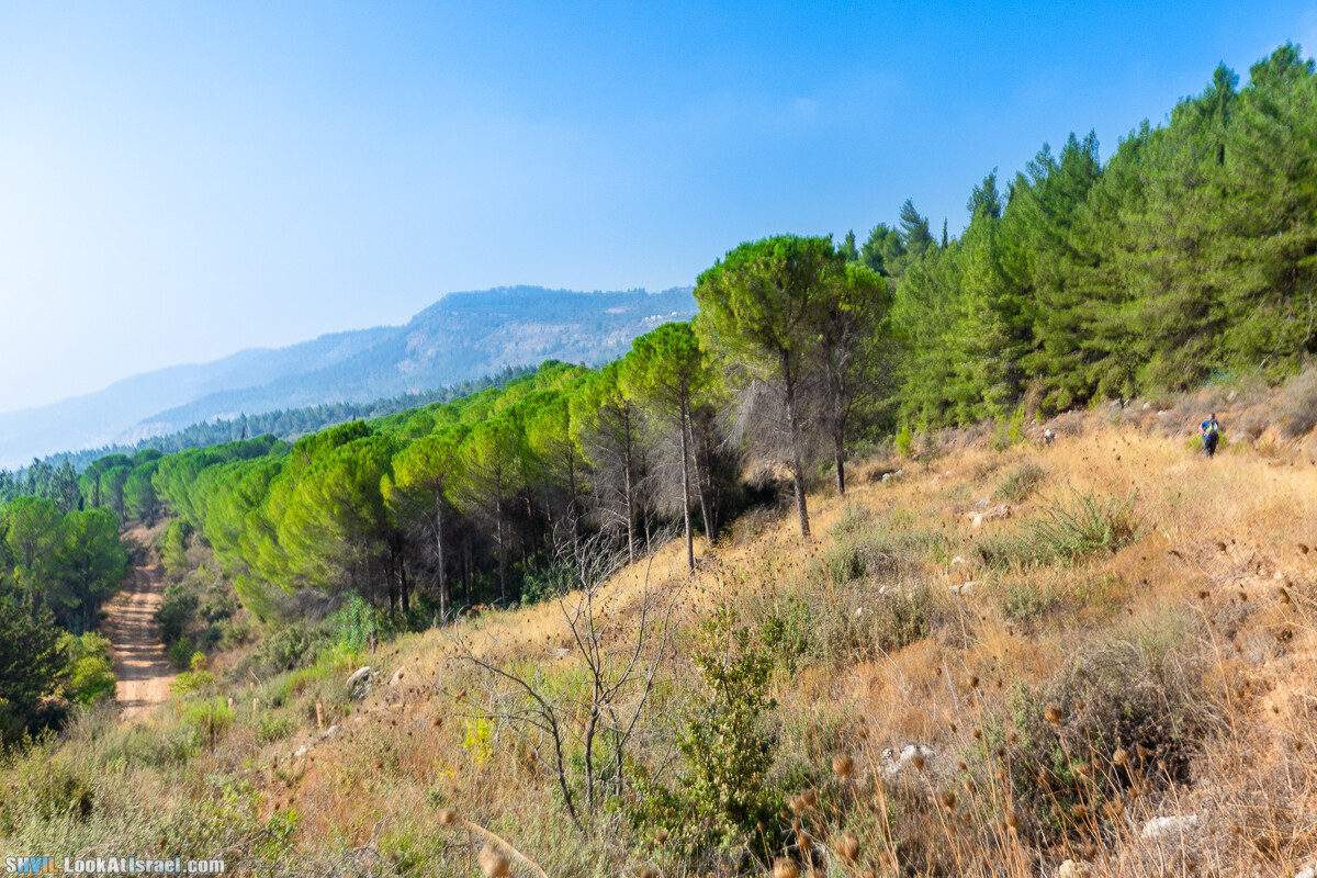 Израильская тропа, участок 2-1 Кфар Гилади - Накикей Ифтах| Israel National Trail | שביל ישראל, קטע 2-1 כפר גלעדי - נקיקי יפתח | shvil.LookAtIsrael.com - Фото путешествия по Израилю