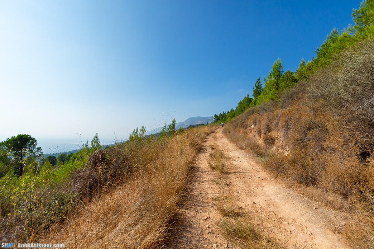 Израильская тропа, участок 2-1 Кфар Гилади - Накикей Ифтах| Israel National Trail | שביל ישראל, קטע 2-1 כפר גלעדי - נקיקי יפתח | shvil.LookAtIsrael.com - Фото путешествия по Израилю