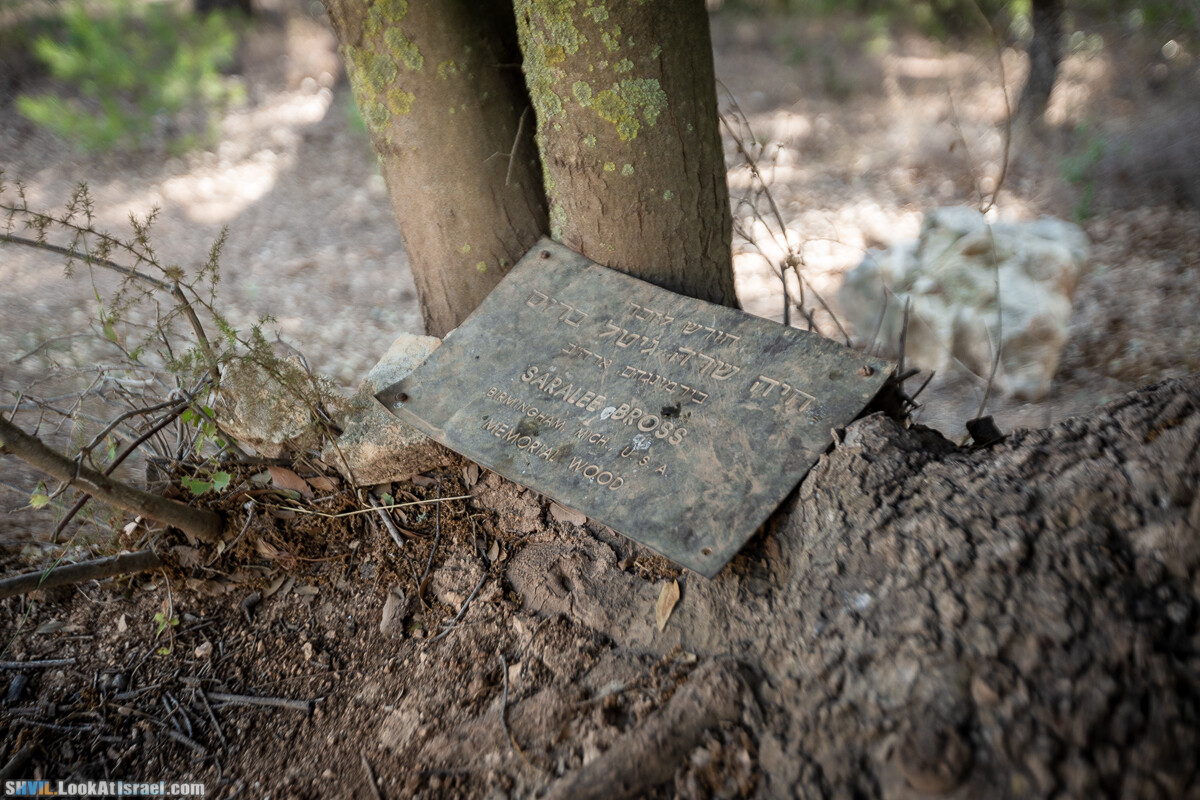 Израильская тропа, участок 2-1 Кфар Гилади - Накикей Ифтах| Israel National Trail | שביל ישראל, קטע 2-1 כפר גלעדי - נקיקי יפתח | shvil.LookAtIsrael.com - Фото путешествия по Израилю