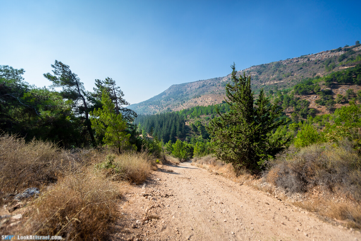 Израильская тропа, участок 2-1 Кфар Гилади - Накикей Ифтах| Israel National Trail | שביל ישראל, קטע 2-1 כפר גלעדי - נקיקי יפתח | shvil.LookAtIsrael.com - Фото путешествия по Израилю
