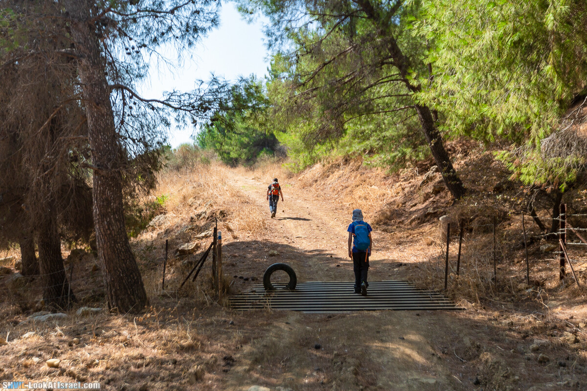 Израильская тропа, участок 2-1 Кфар Гилади - Накикей Ифтах| Israel National Trail | שביל ישראל, קטע 2-1 כפר גלעדי - נקיקי יפתח | shvil.LookAtIsrael.com - Фото путешествия по Израилю