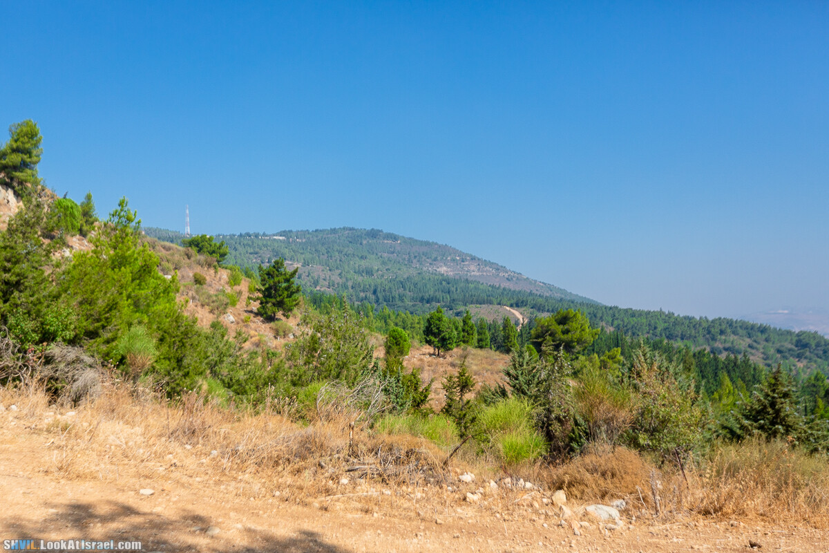Израильская тропа, участок 2-1 Кфар Гилади - Накикей Ифтах| Israel National Trail | שביל ישראל, קטע 2-1 כפר גלעדי - נקיקי יפתח | shvil.LookAtIsrael.com - Фото путешествия по Израилю