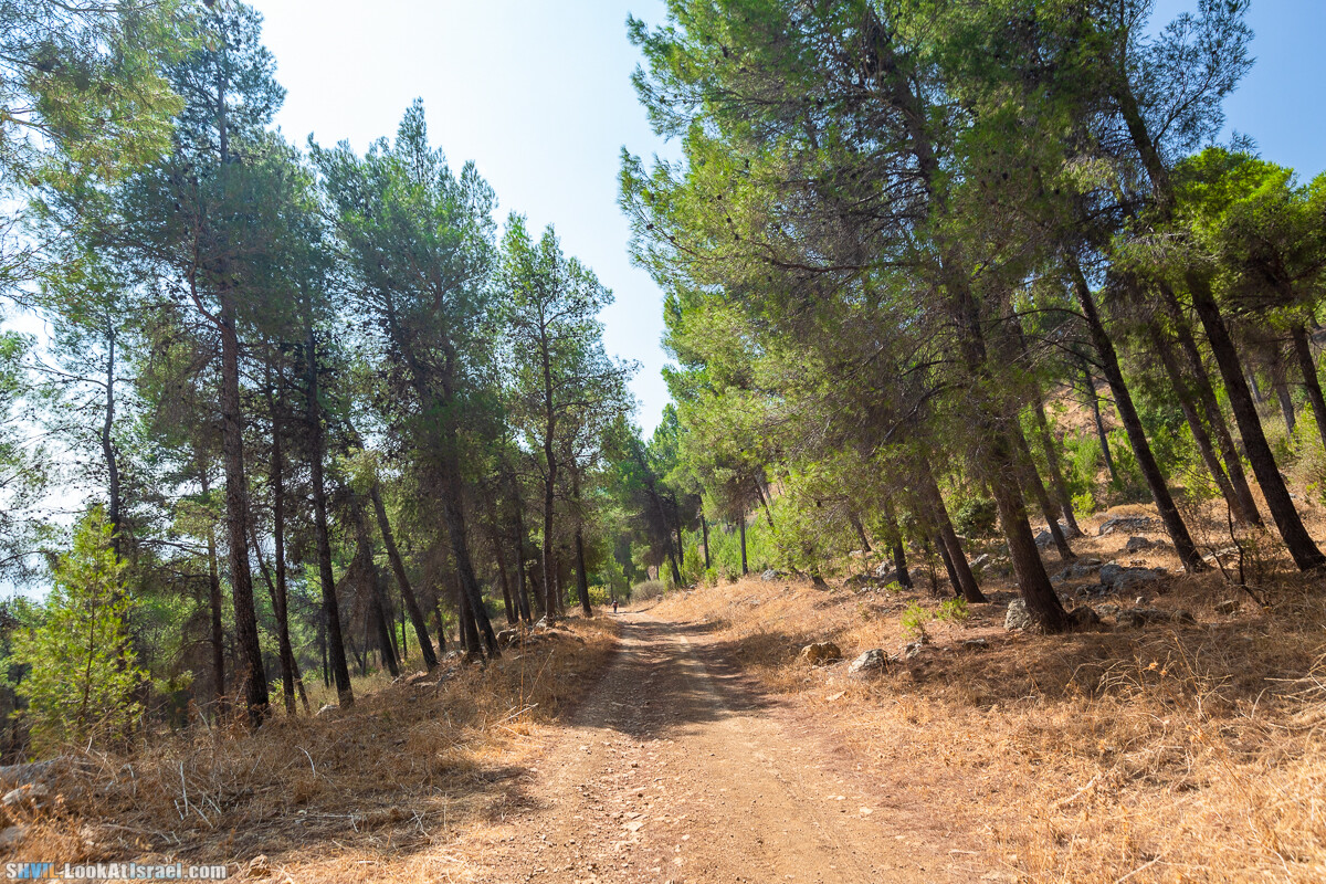 Израильская тропа, участок 2-1 Кфар Гилади - Накикей Ифтах| Israel National Trail | שביל ישראל, קטע 2-1 כפר גלעדי - נקיקי יפתח | shvil.LookAtIsrael.com - Фото путешествия по Израилю