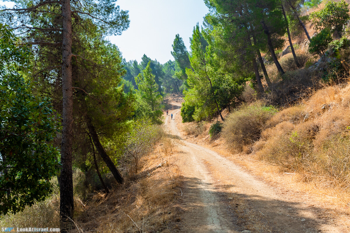 Израильская тропа, участок 2-1 Кфар Гилади - Накикей Ифтах| Israel National Trail | שביל ישראל, קטע 2-1 כפר גלעדי - נקיקי יפתח | shvil.LookAtIsrael.com - Фото путешествия по Израилю