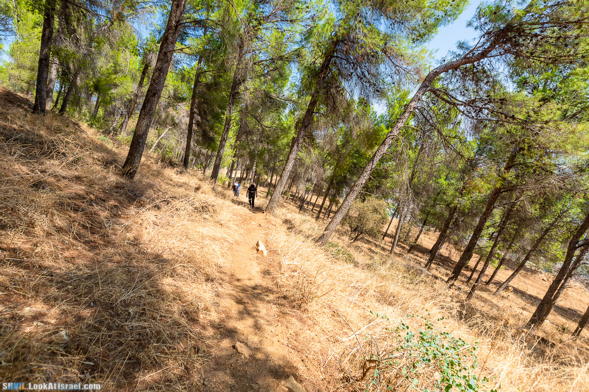 Израильская тропа, участок 2-1 Кфар Гилади - Накикей Ифтах| Israel National Trail | שביל ישראל, קטע 2-1 כפר גלעדי - נקיקי יפתח | shvil.LookAtIsrael.com - Фото путешествия по Израилю