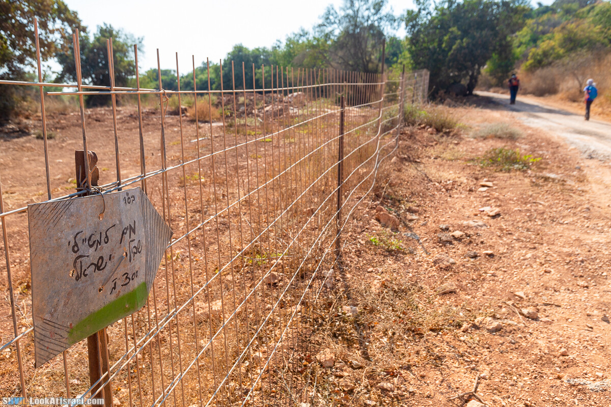 Израильская тропа, участок 2-1 Кфар Гилади - Накикей Ифтах| Israel National Trail | שביל ישראל, קטע 2-1 כפר גלעדי - נקיקי יפתח | shvil.LookAtIsrael.com - Фото путешествия по Израилю