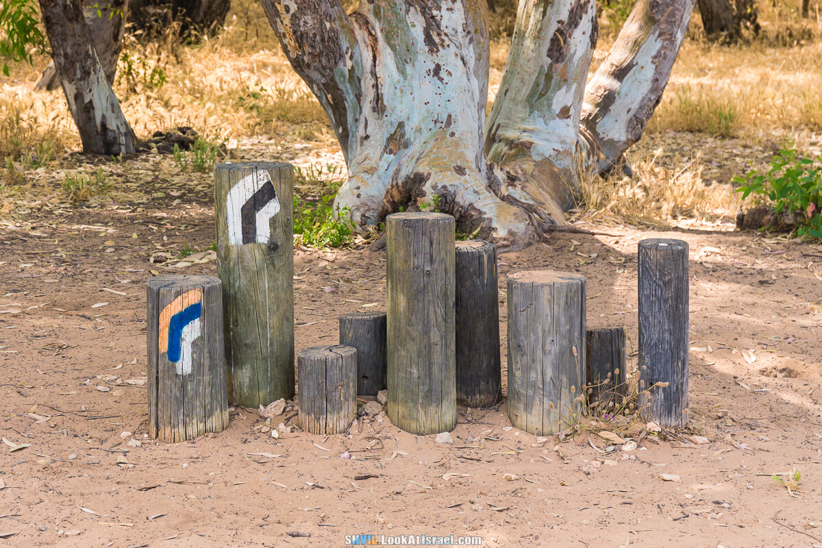 Тропа Израиля, участок 15-1: Полег - Аполония