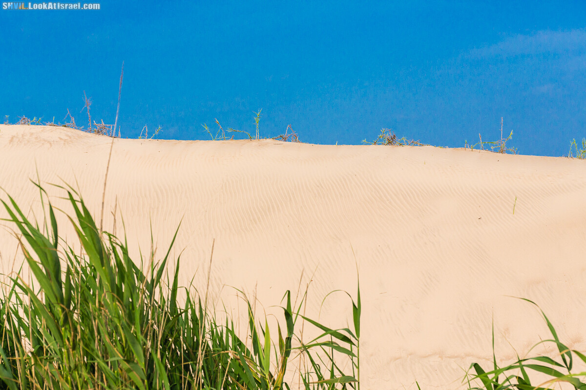 Израильская тропа, участок 15-1 Натания (Полег) - Арсуф Аполония| Israel National Trail | שביל ישראל, קטע 15- נתניה ארסוף אפולוניה | shvil.LookAtIsrael.com - Фото путешествия по Израилю